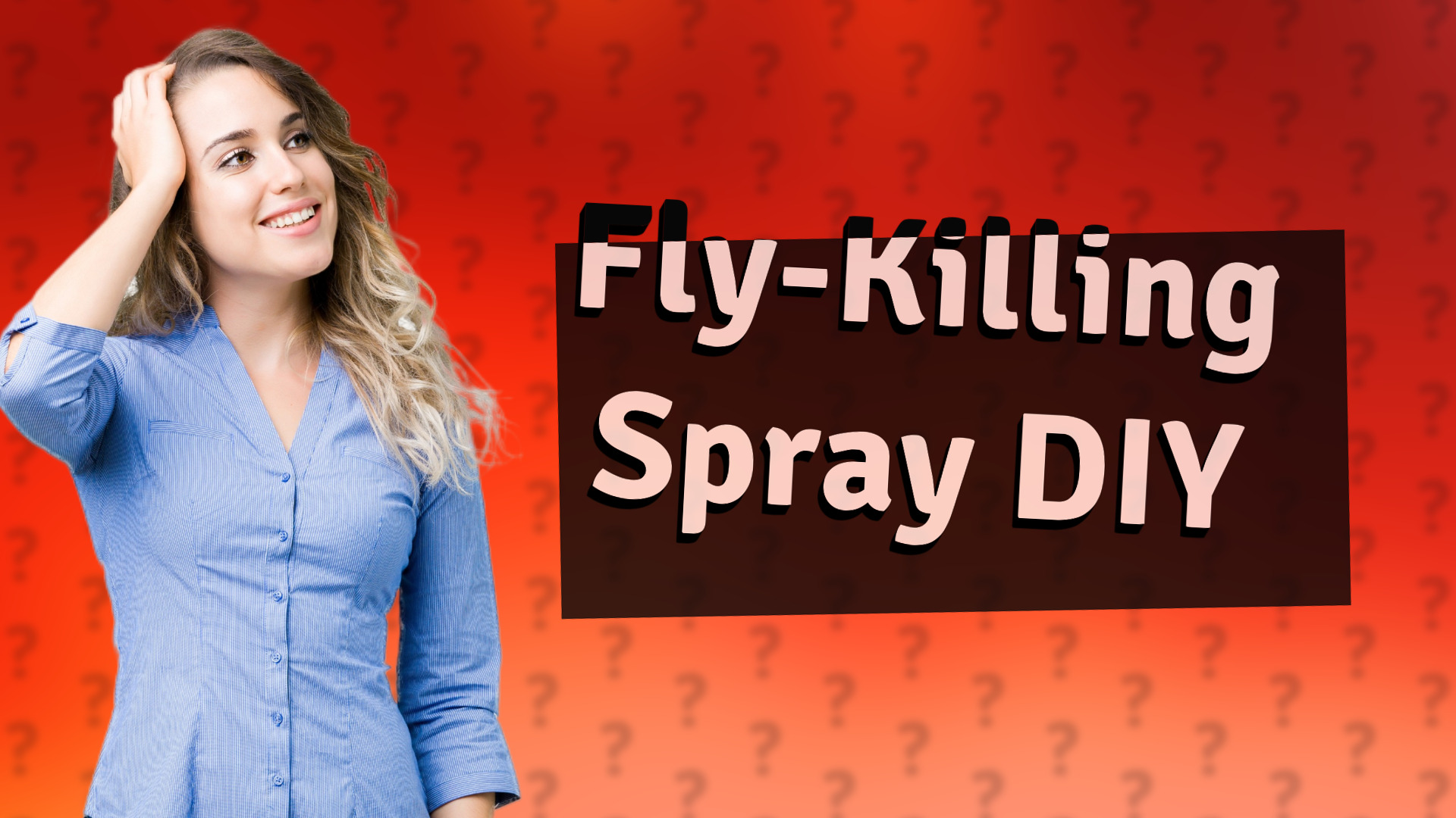 Fly-Killing Spray DIY