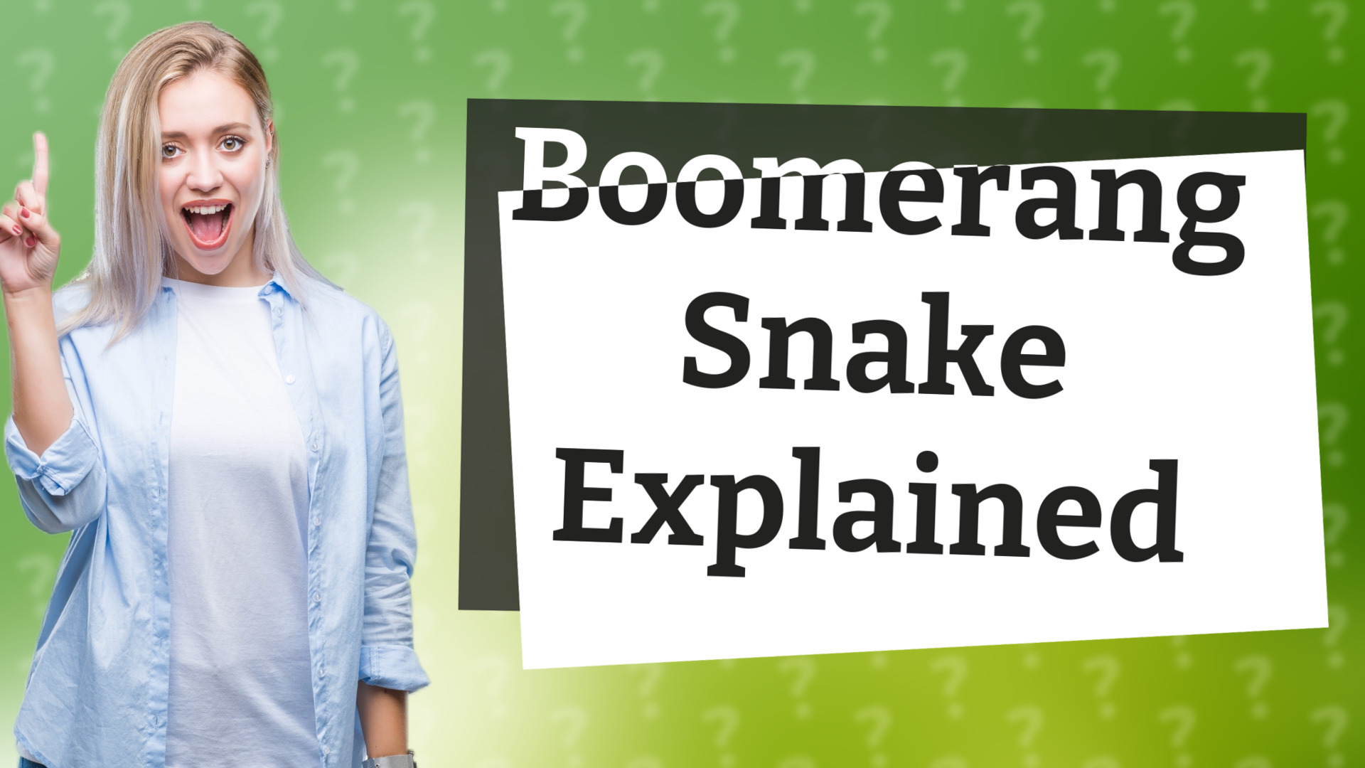 Boomerang Snake Explained