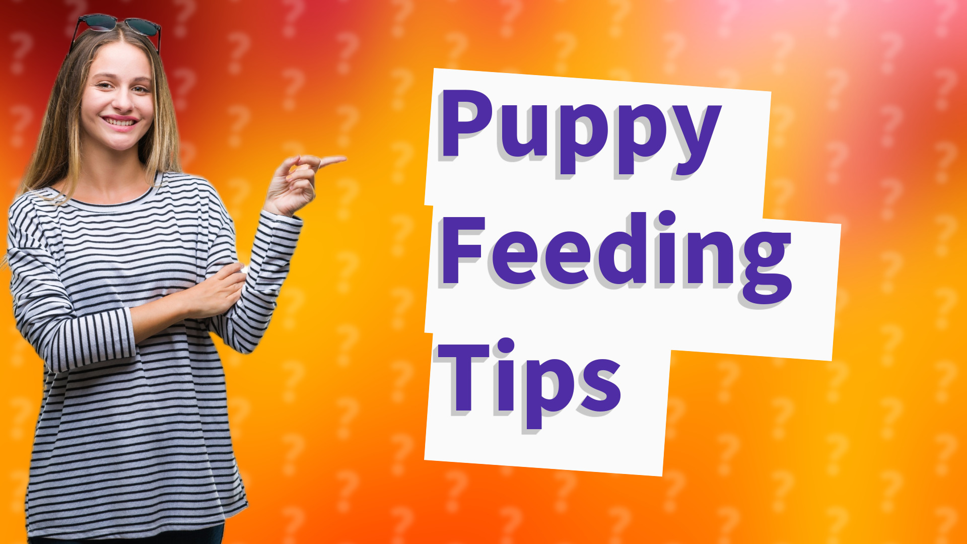 Puppy Feeding Tips