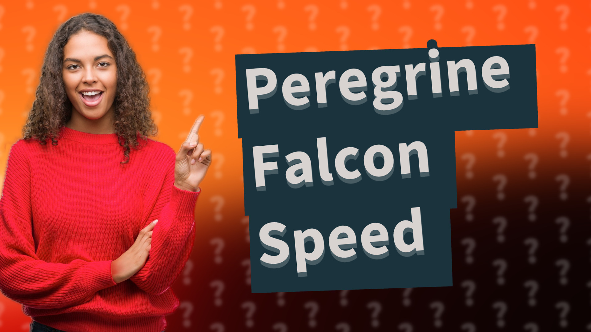 Peregrine Falcon Speed