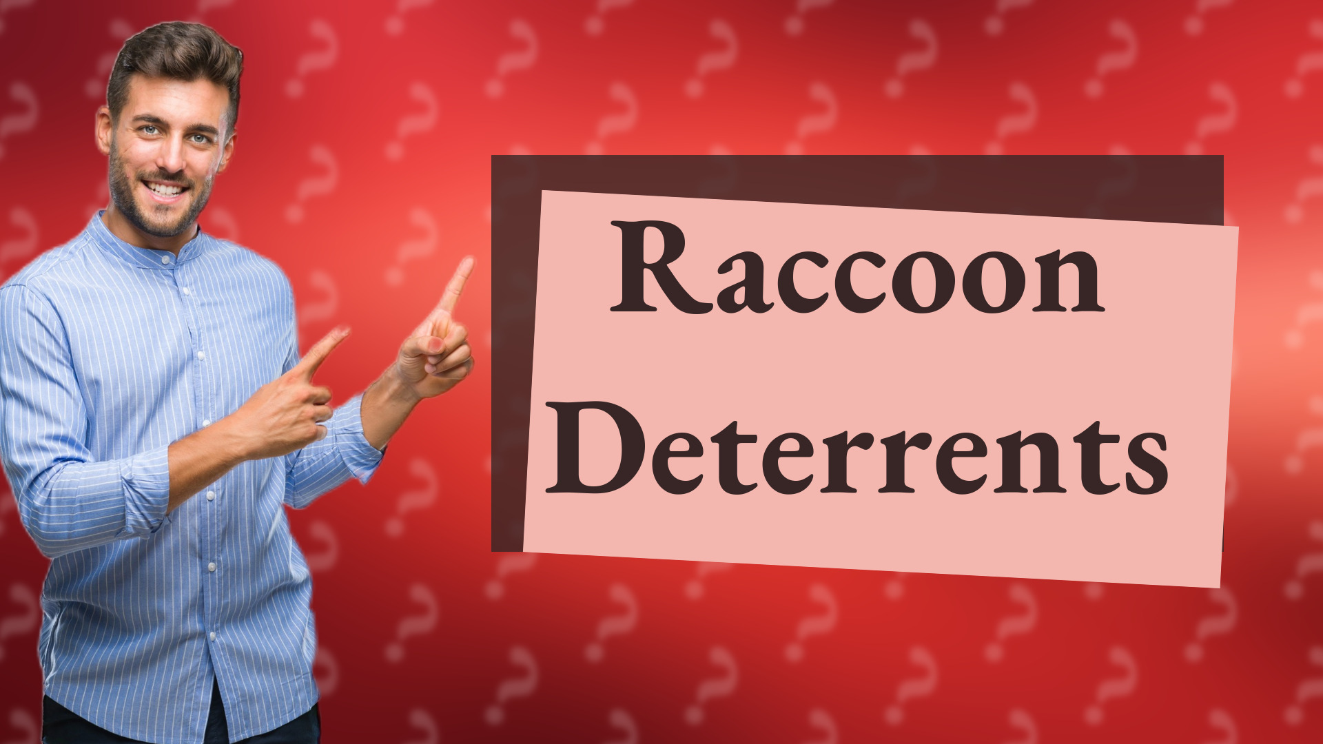 Raccoon Deterrents
