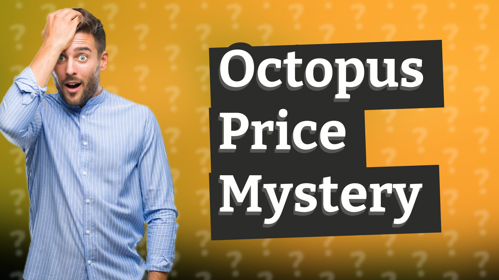 Octopus Price Mystery