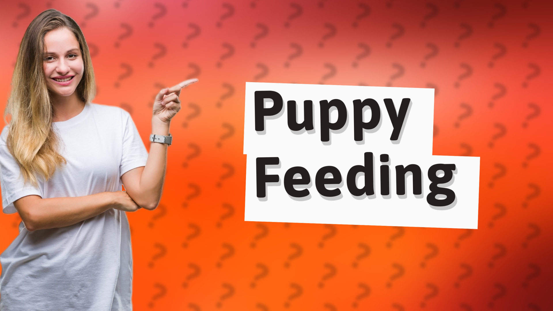 Puppy Feeding