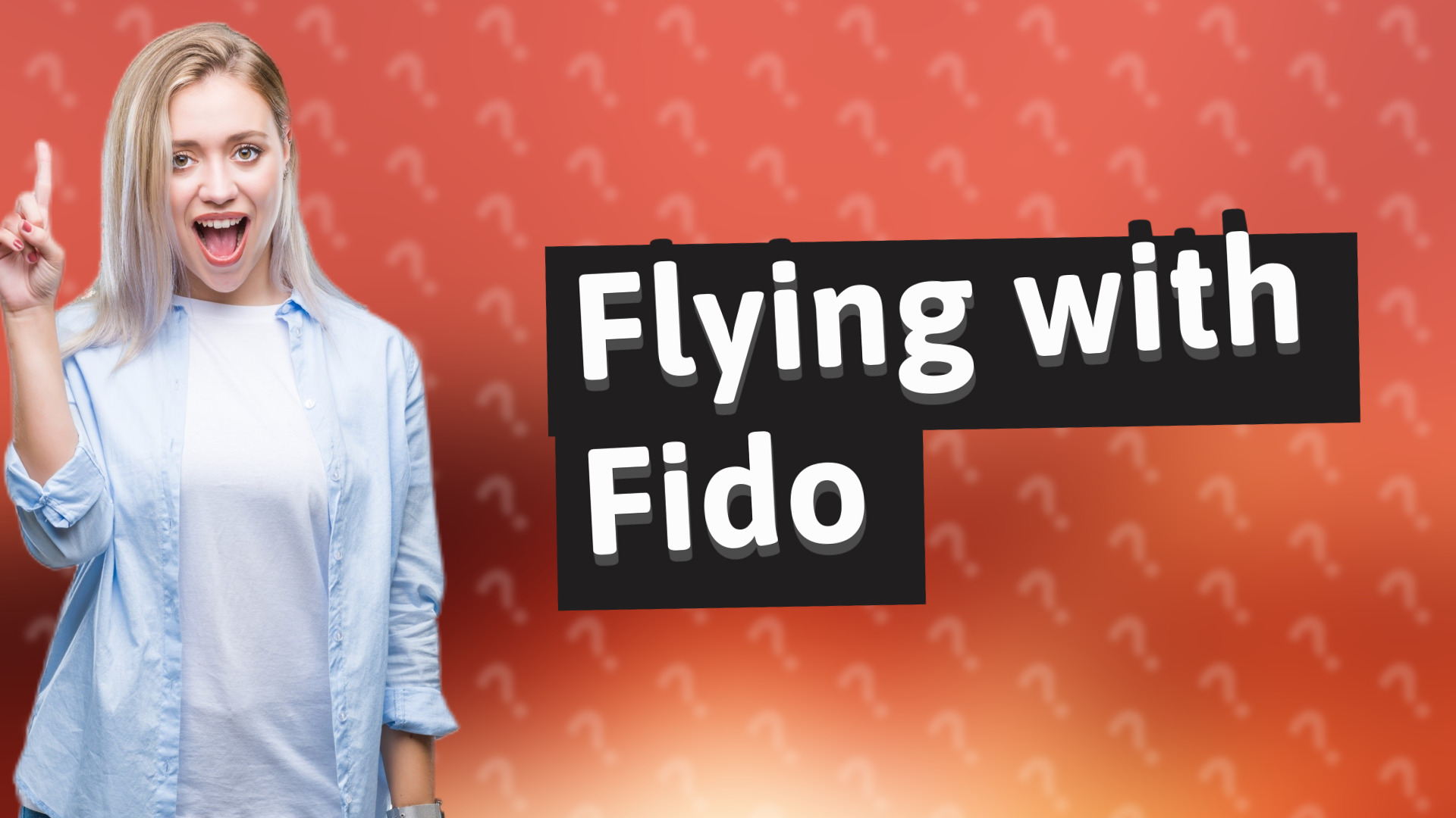 Flying with Fido