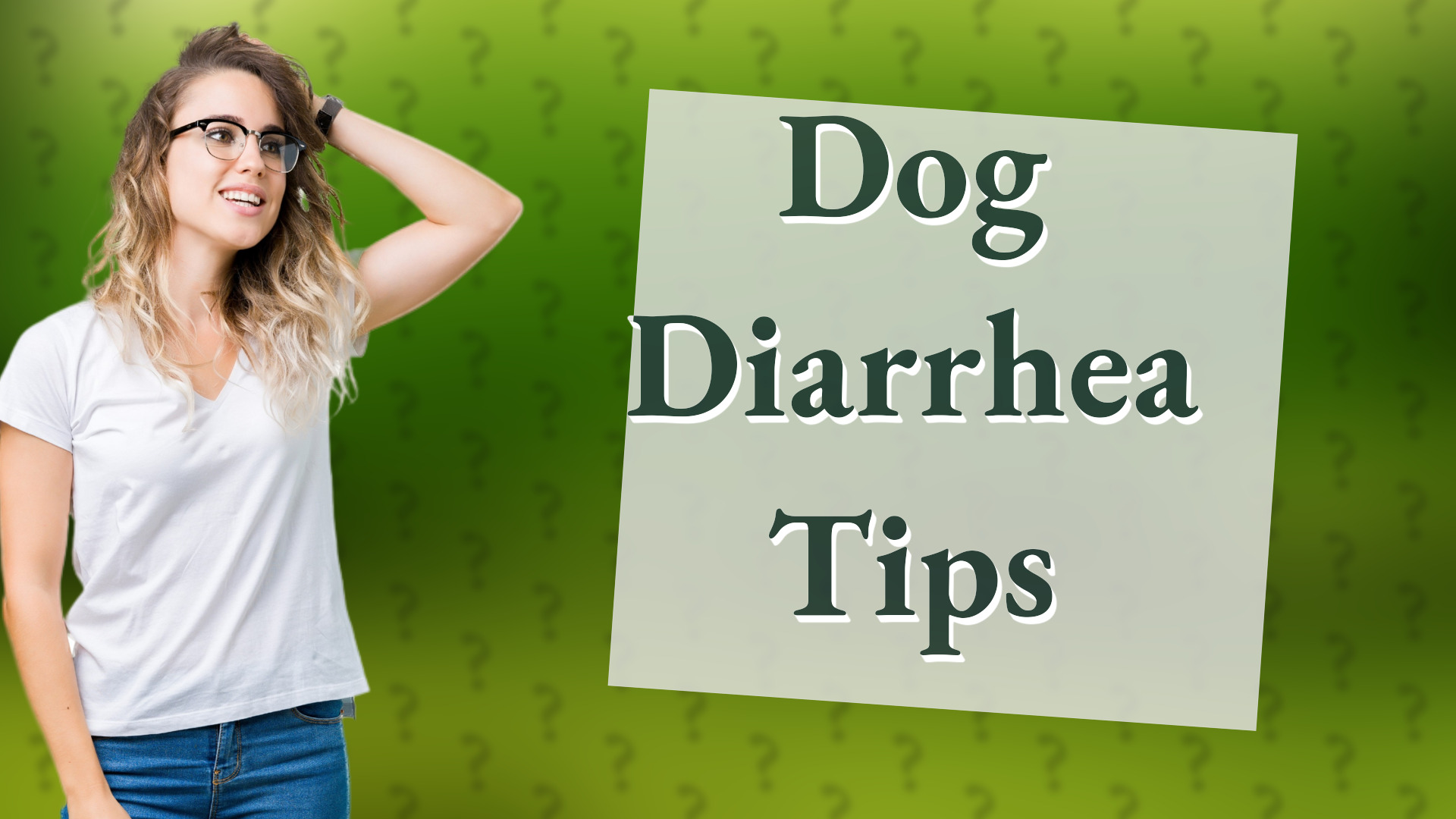 Dog Diarrhea Tips