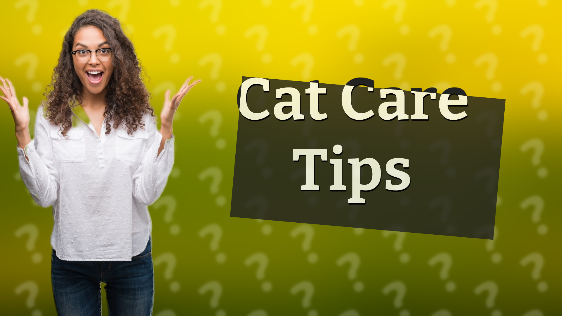Cat Care Tips