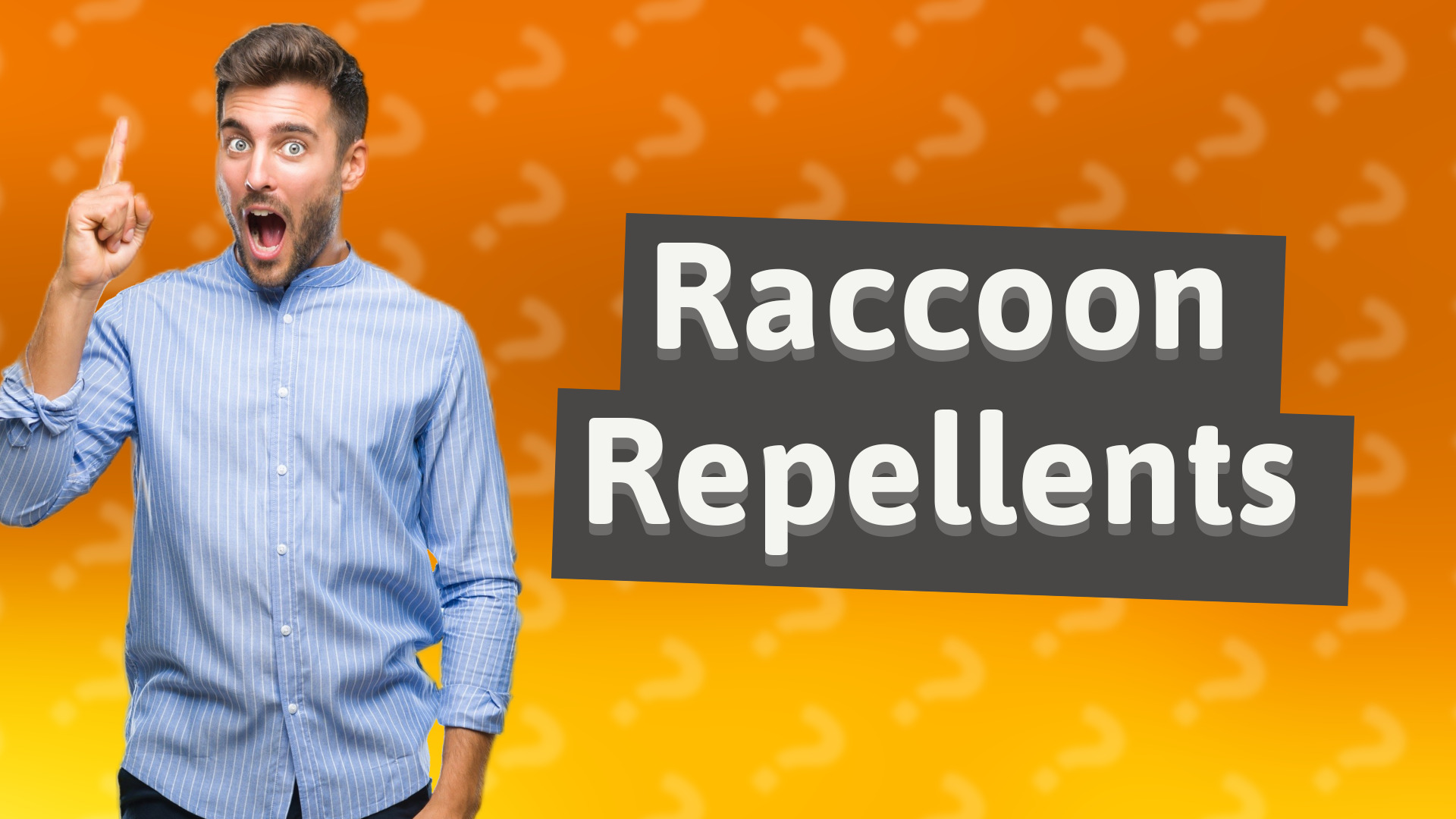 Raccoon Repellents