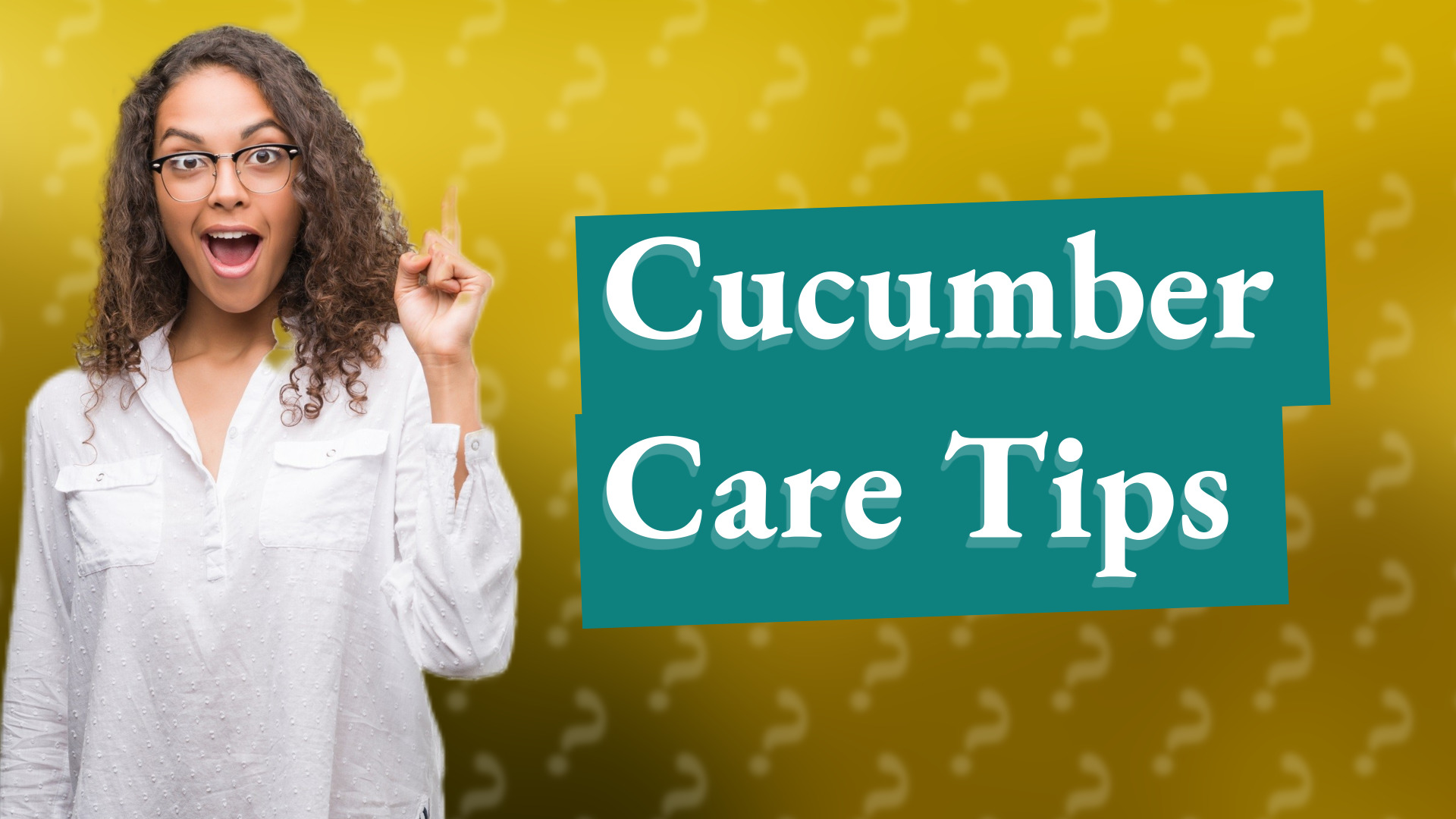 Cucumber Care Tips