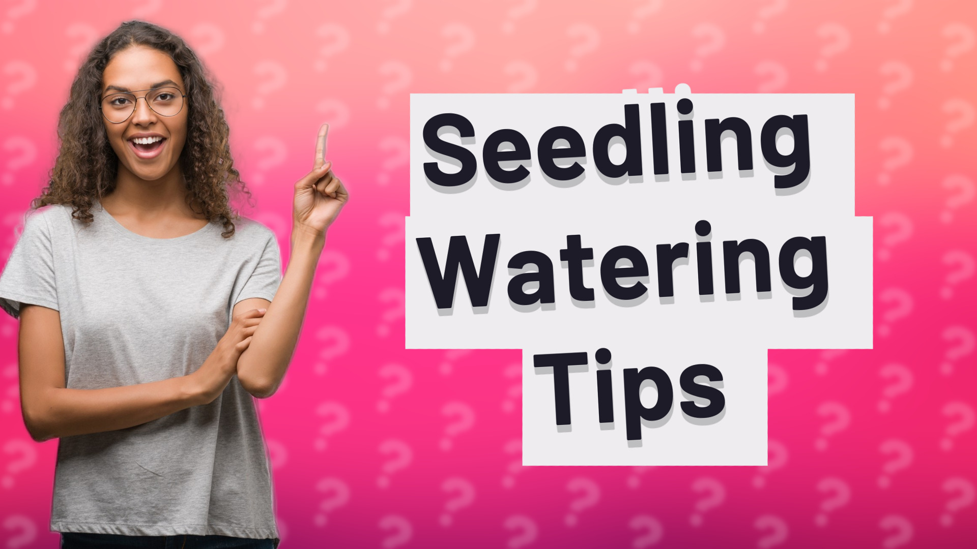 Seedling Watering Tips