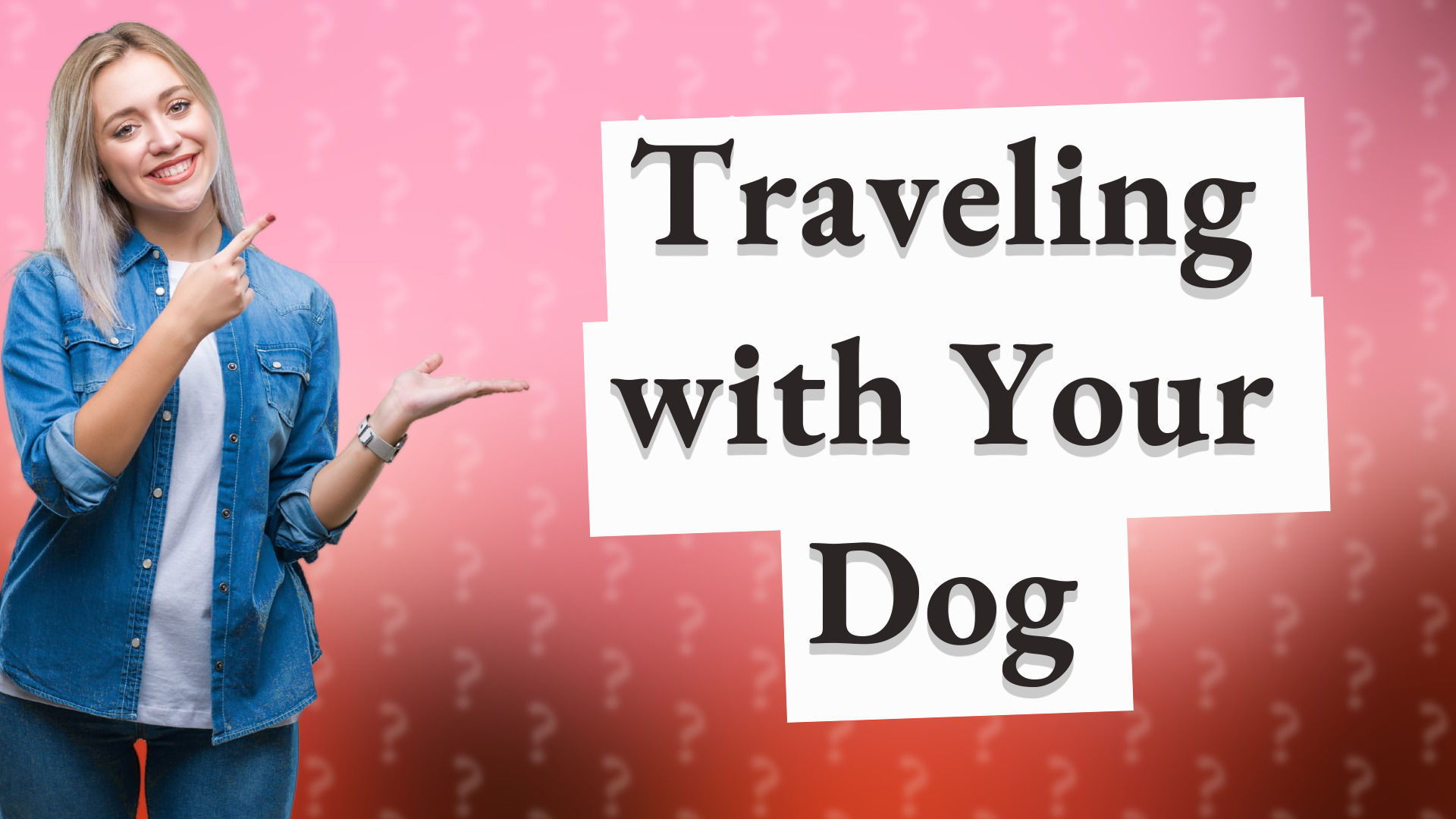 Traveling with Your Dog