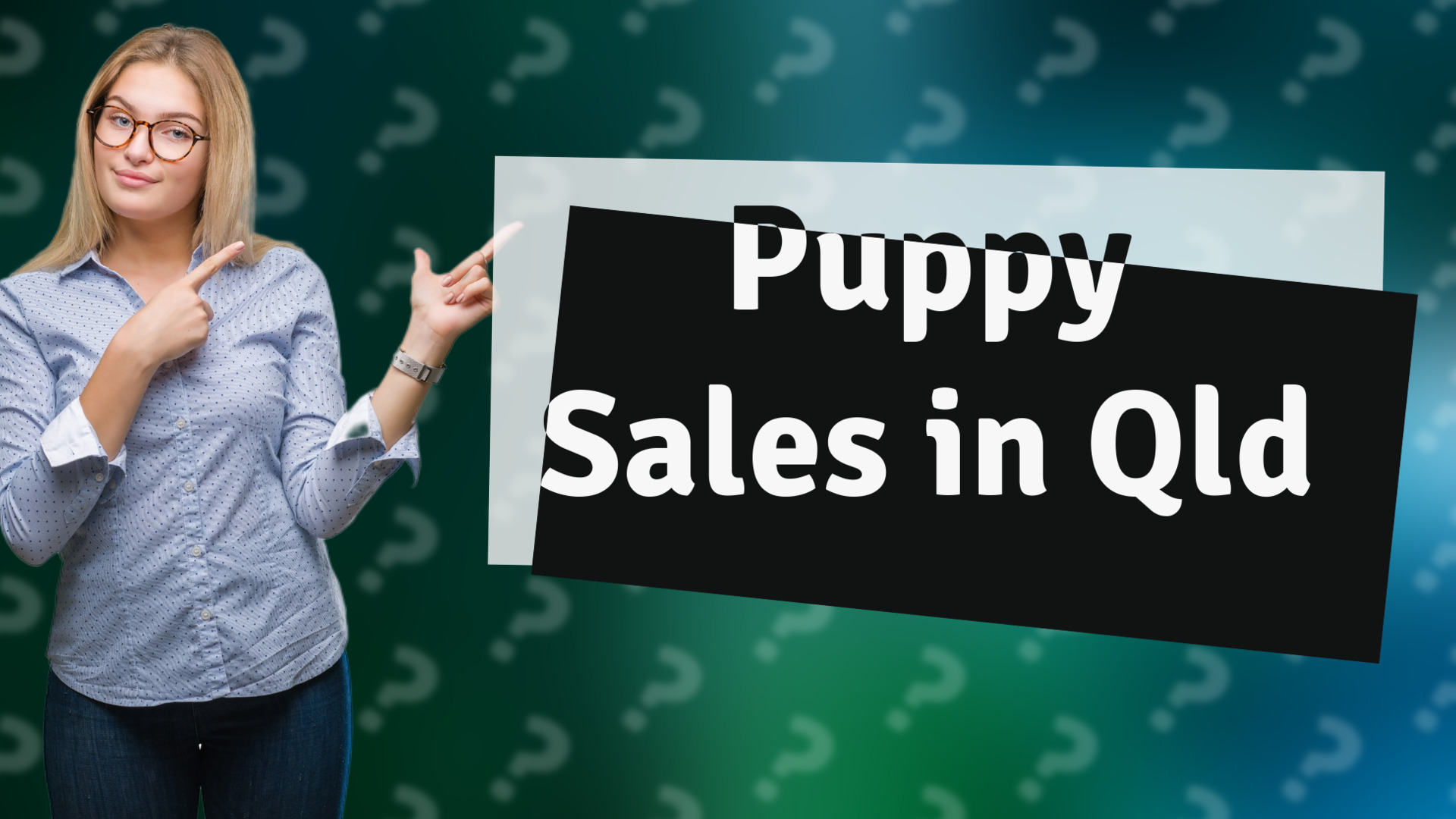 Puppy Sales in Qld