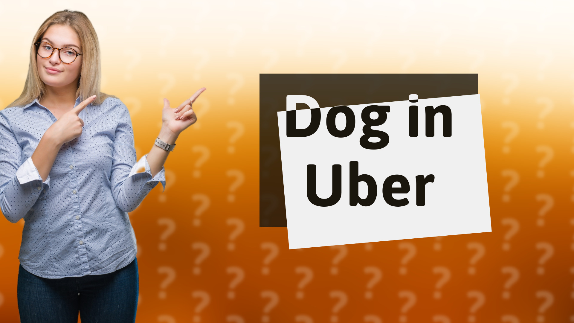 Dog in Uber