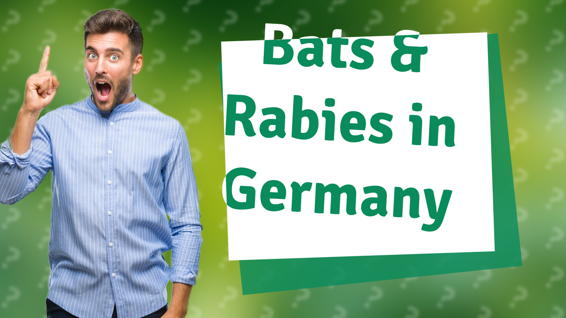 Bats & Rabies in Germany