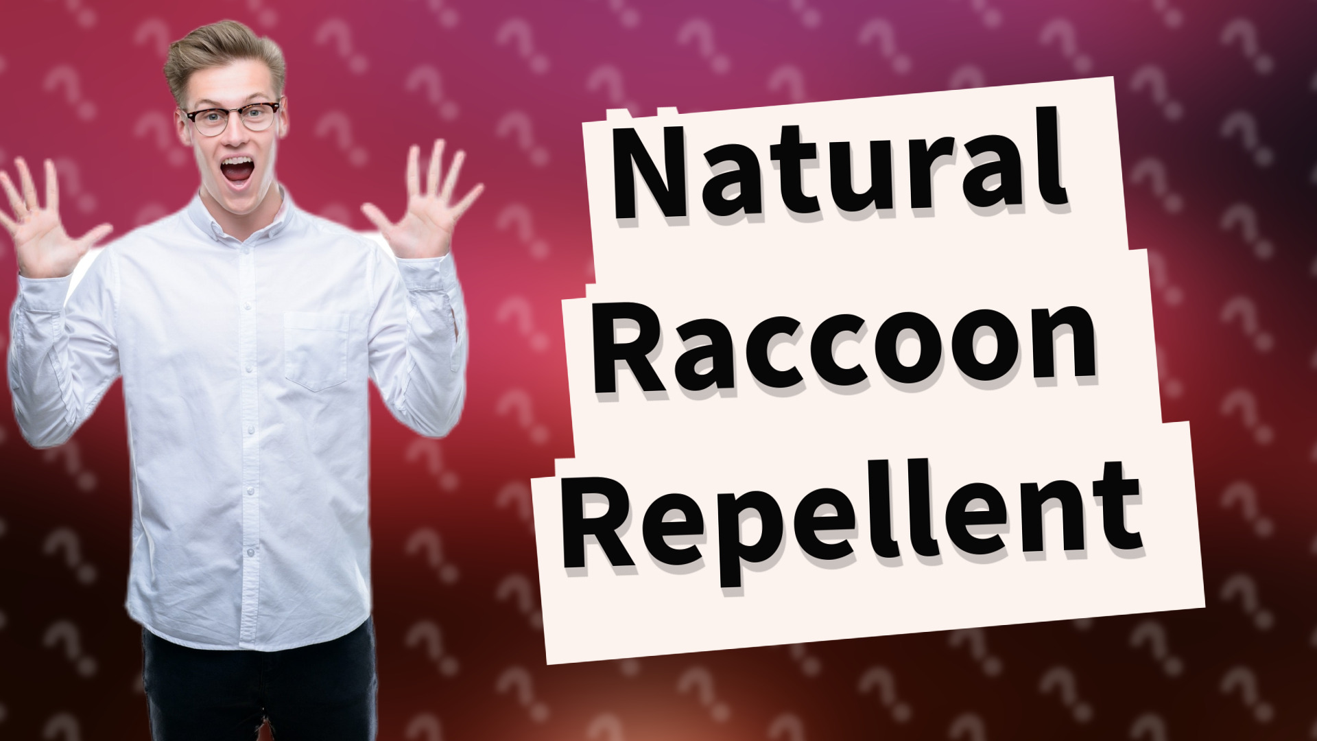 Natural Raccoon Repellent