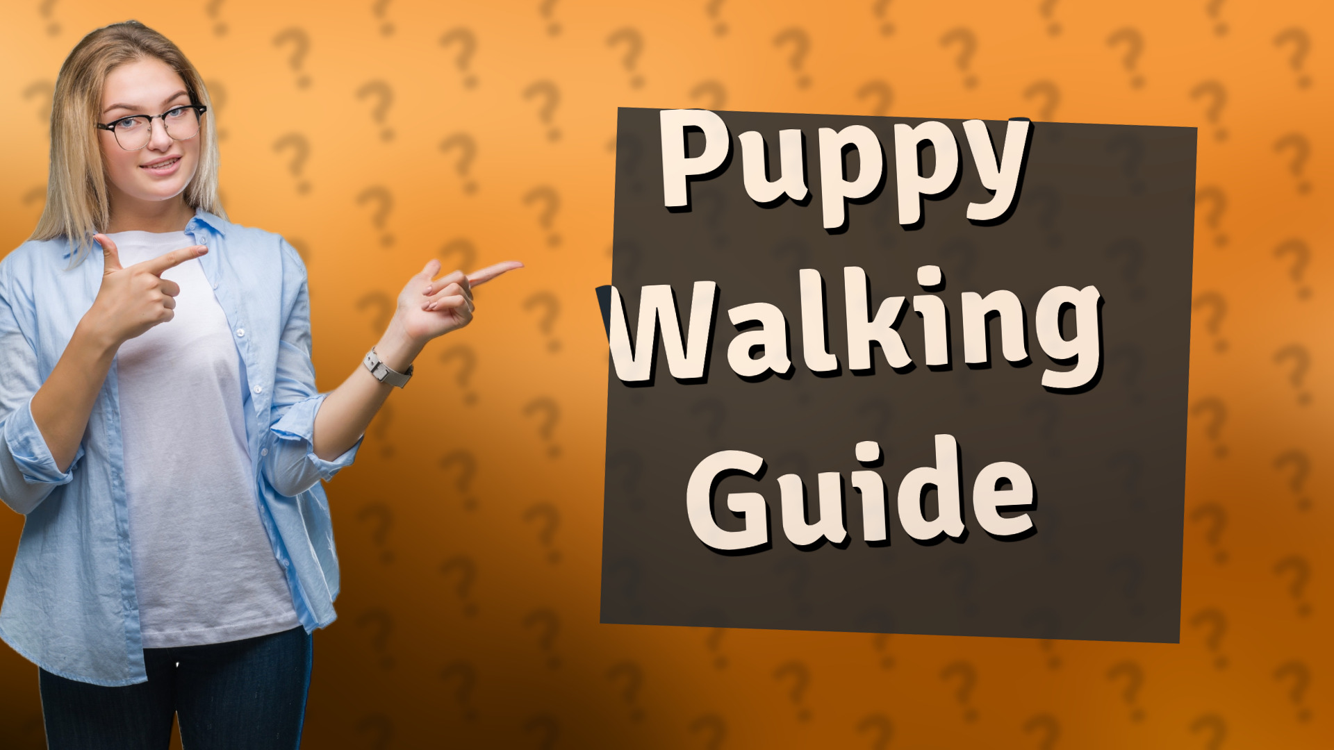 Puppy Walking Guide