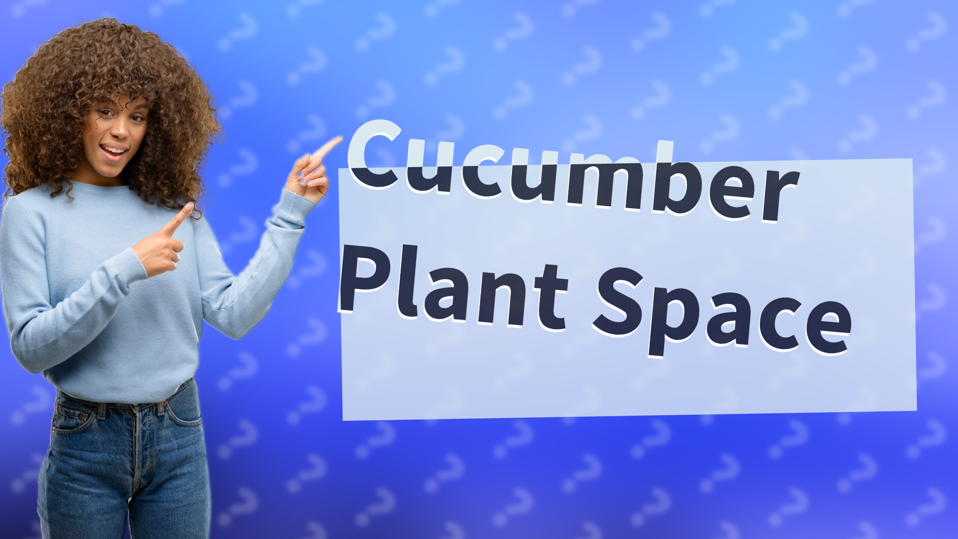 Cucumber Plant Space