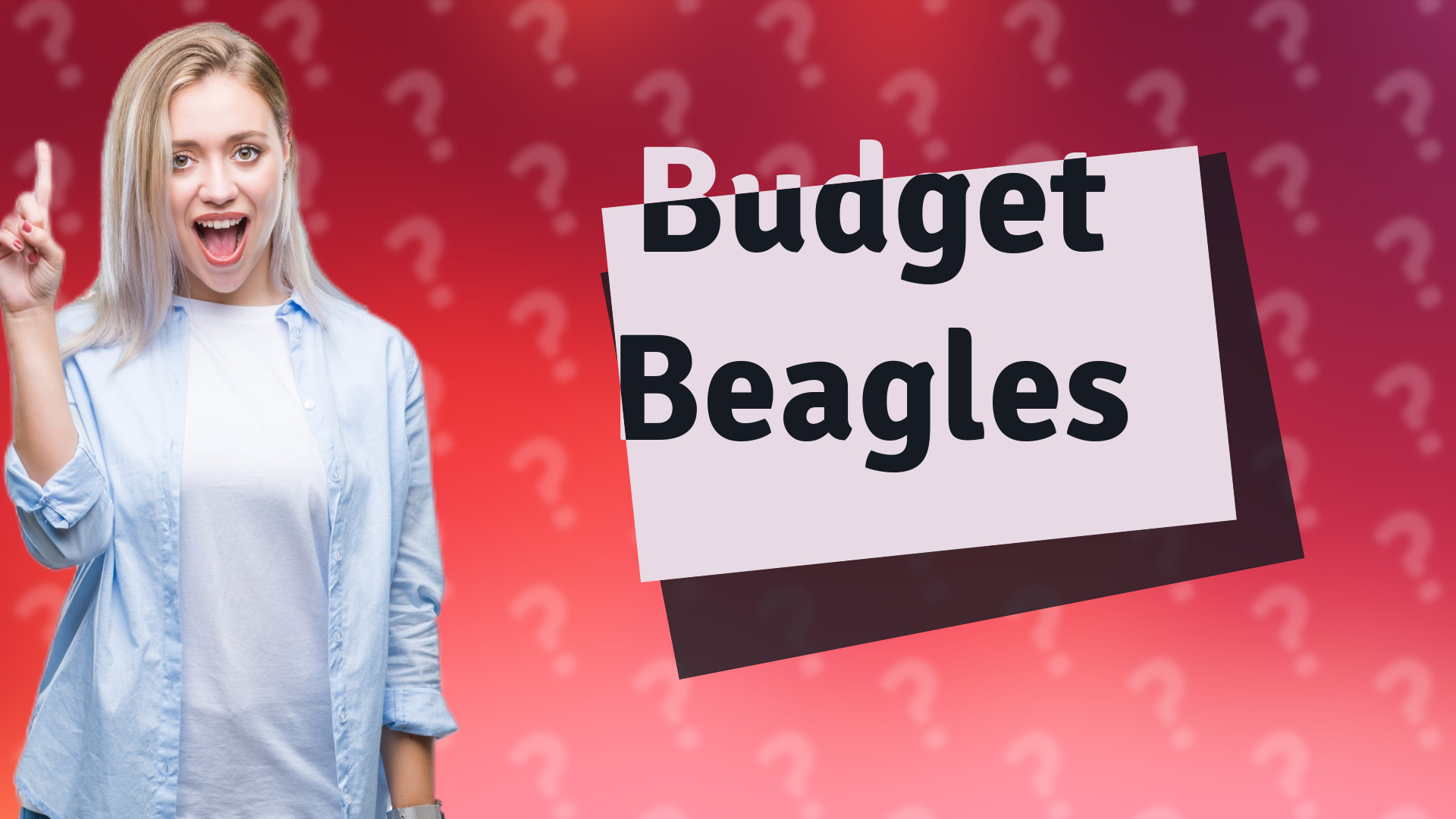 Budget Beagles