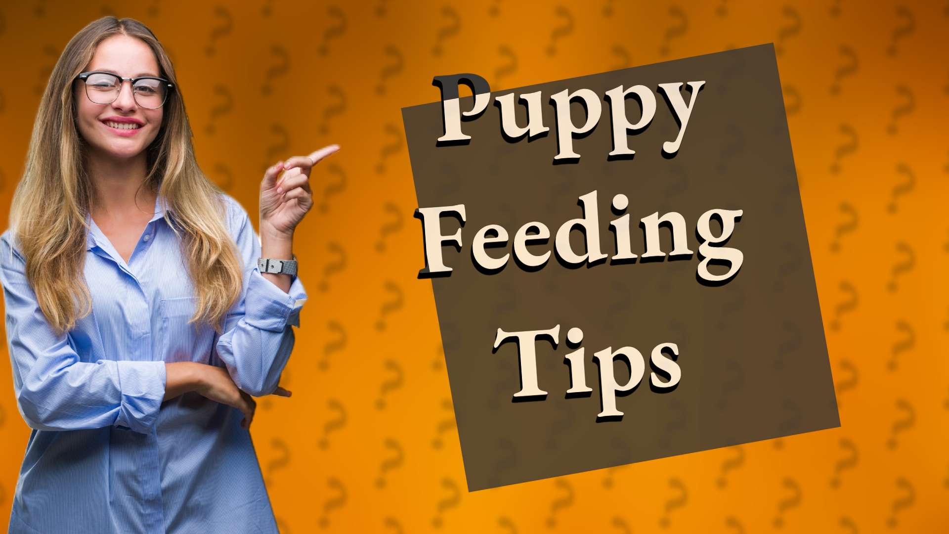 Puppy Feeding Tips