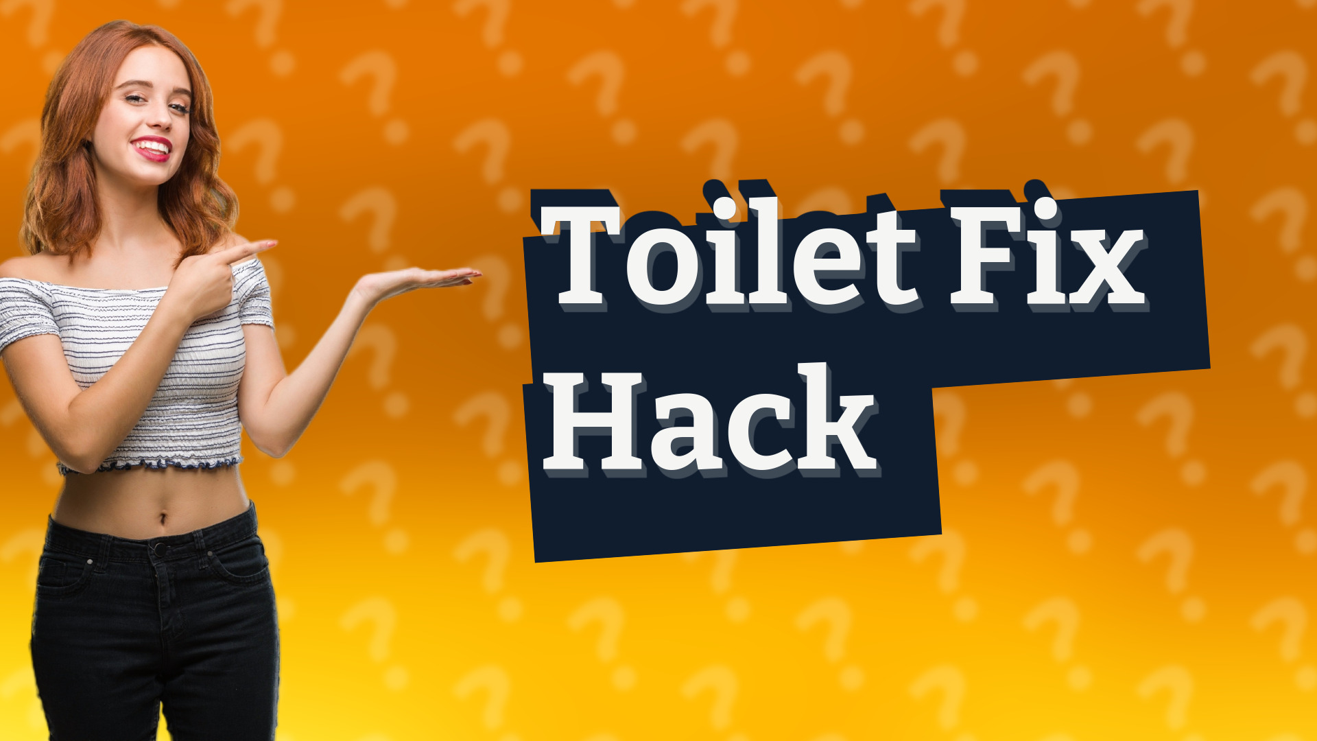 Toilet Fix Hack
