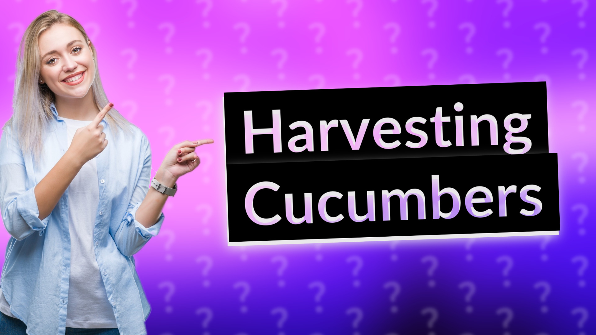 Harvesting Cucumbers