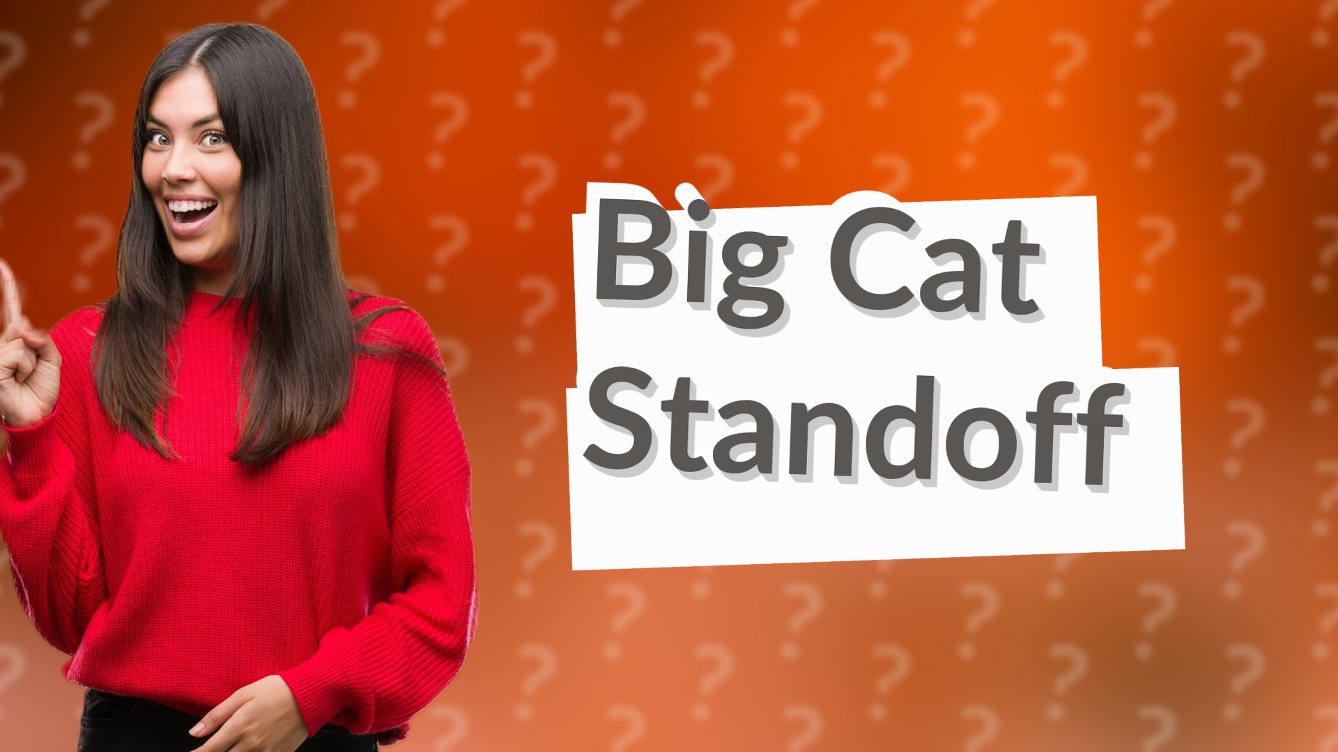 Big Cat Standoff