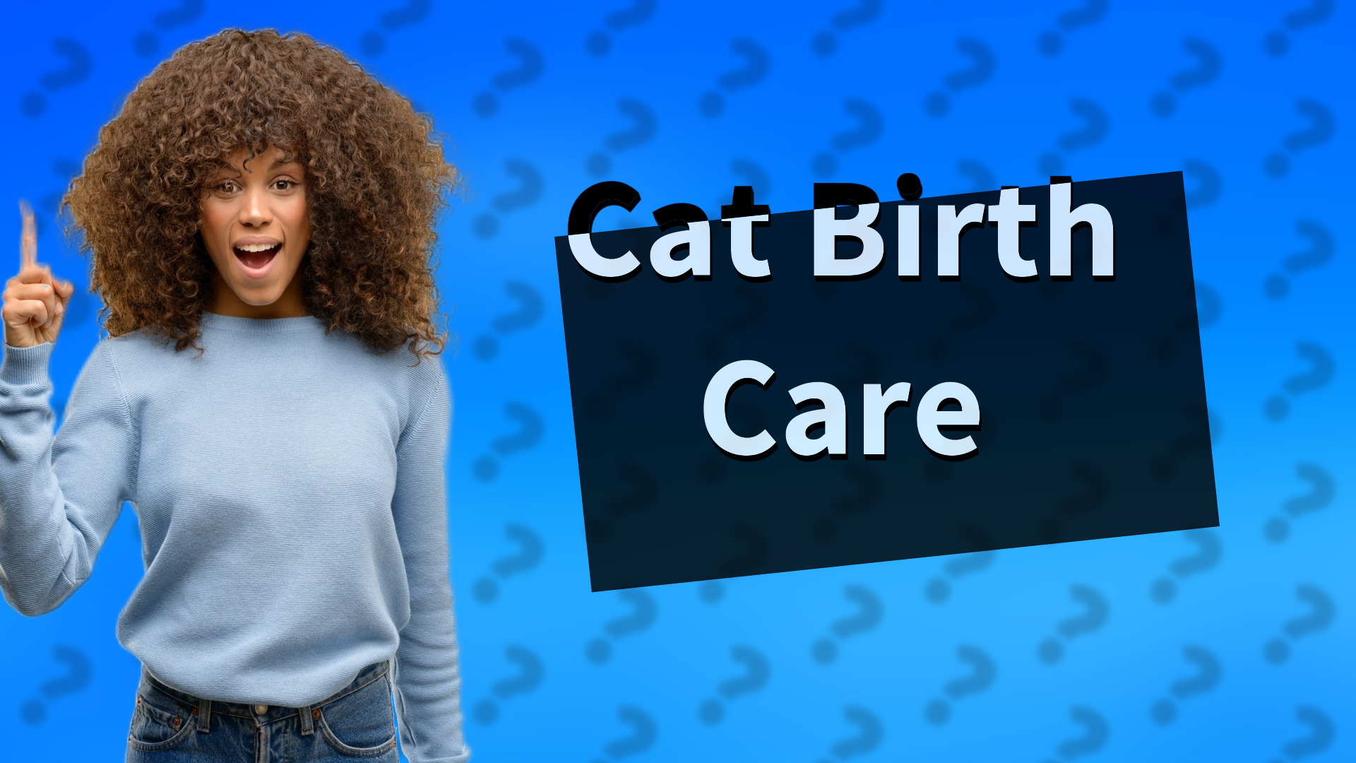 Cat Birth Care