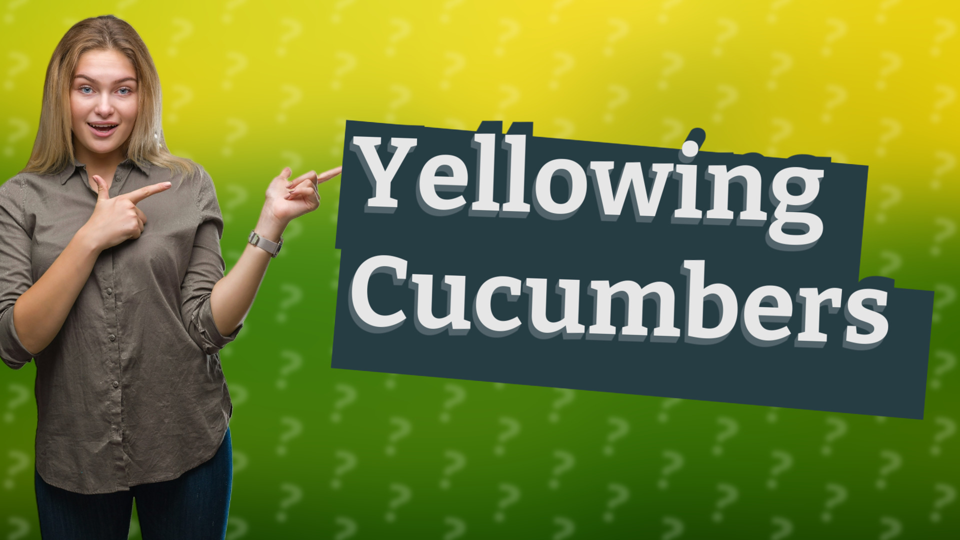 Yellowing Cucumbers