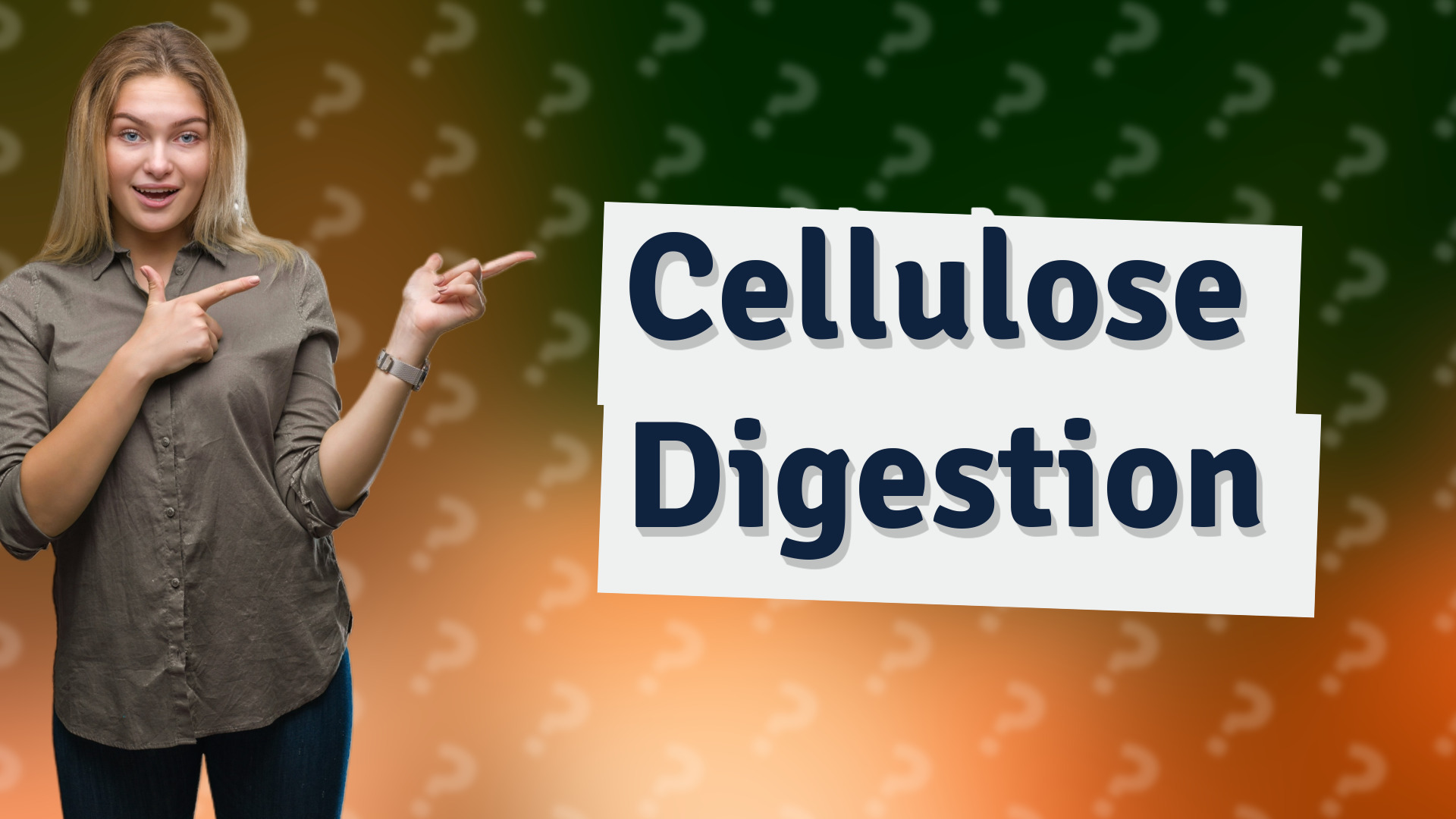 Cellulose Digestion