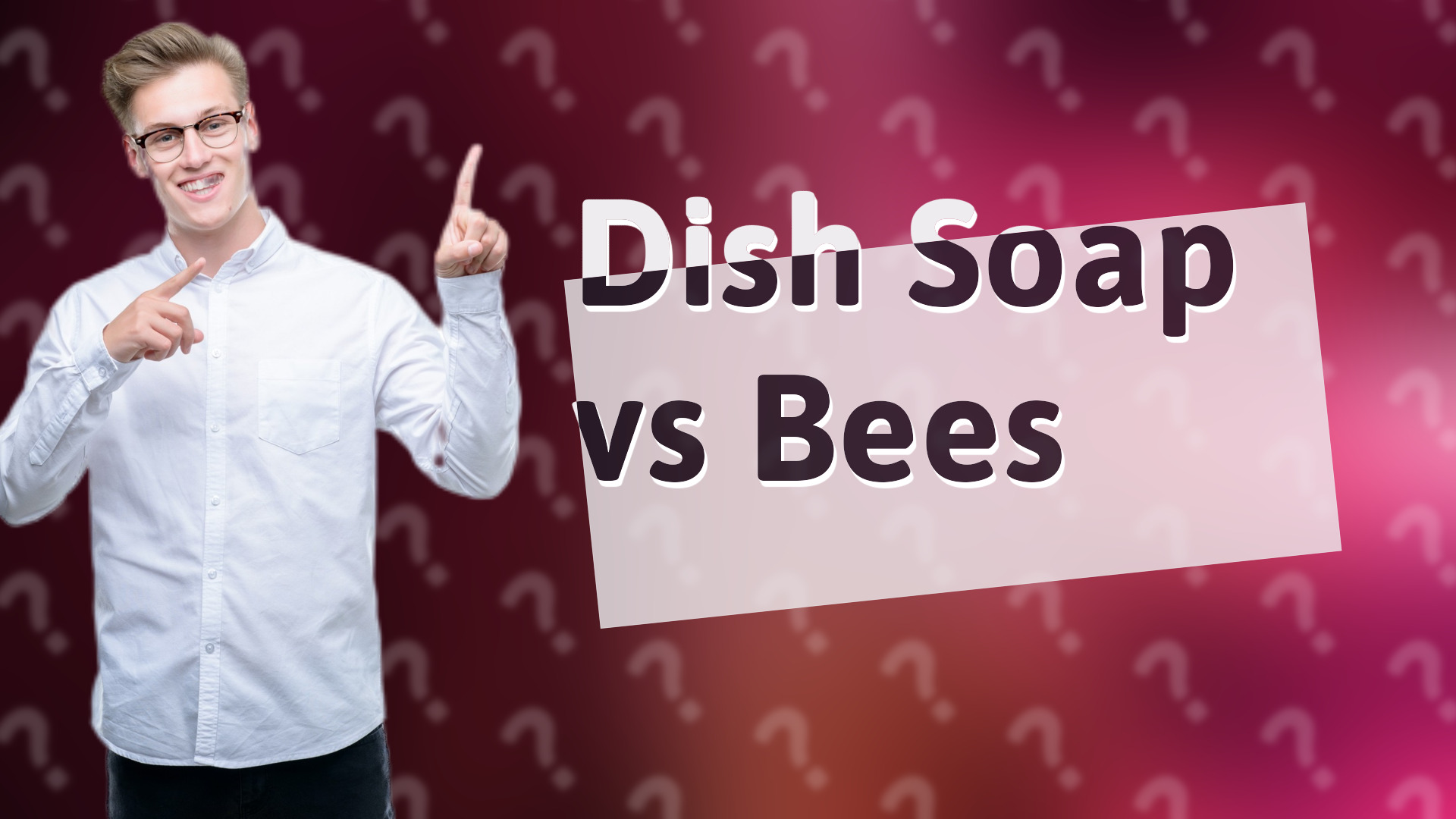Dish Soap vs Bees