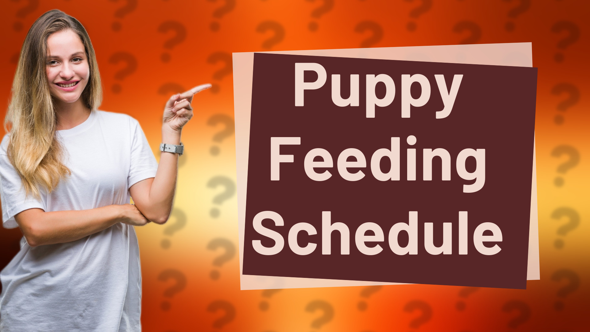 Puppy Feeding Schedule