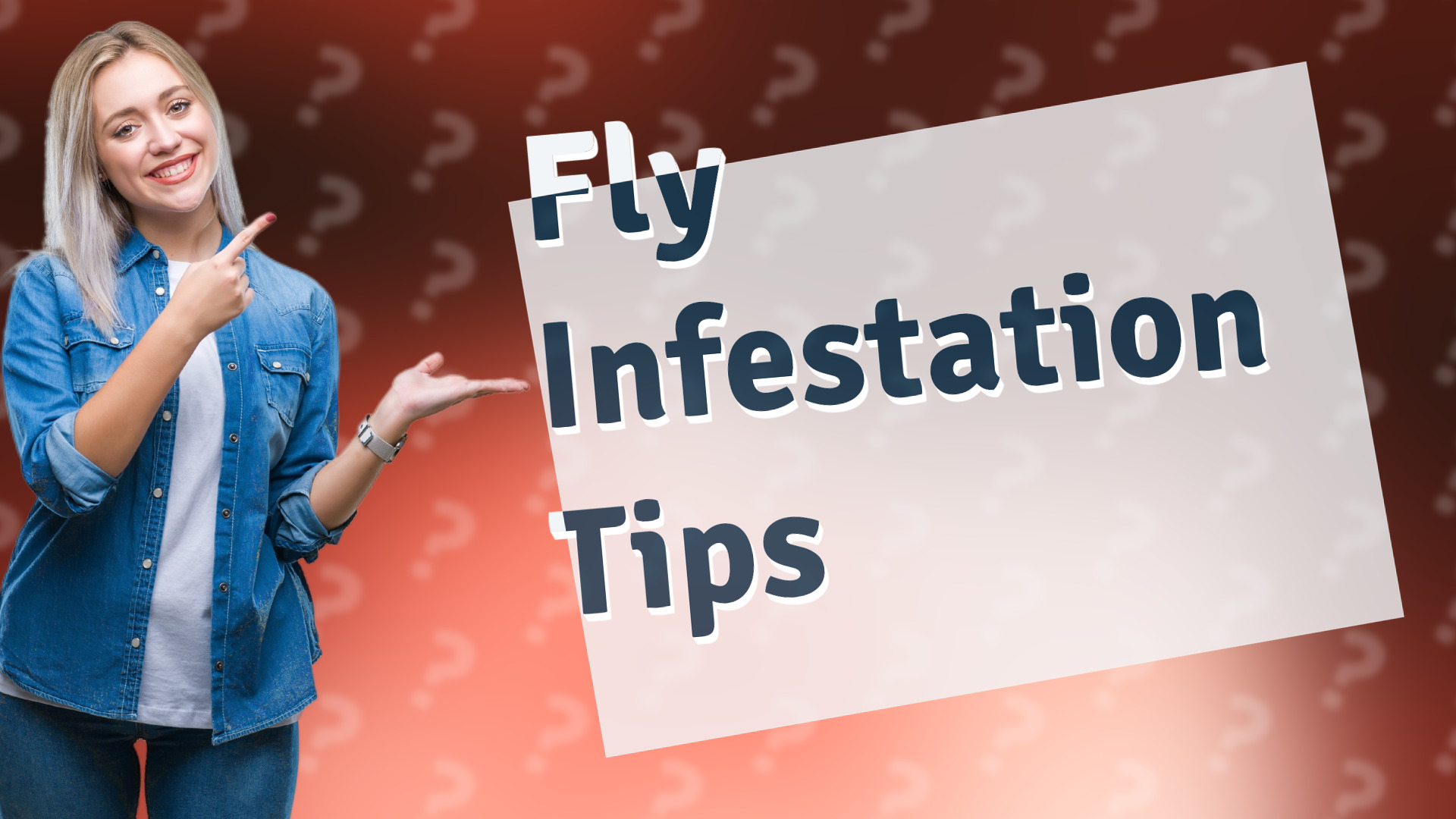 Fly Infestation Tips