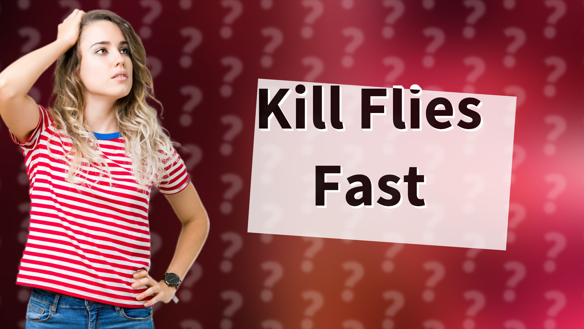 Kill Flies Fast