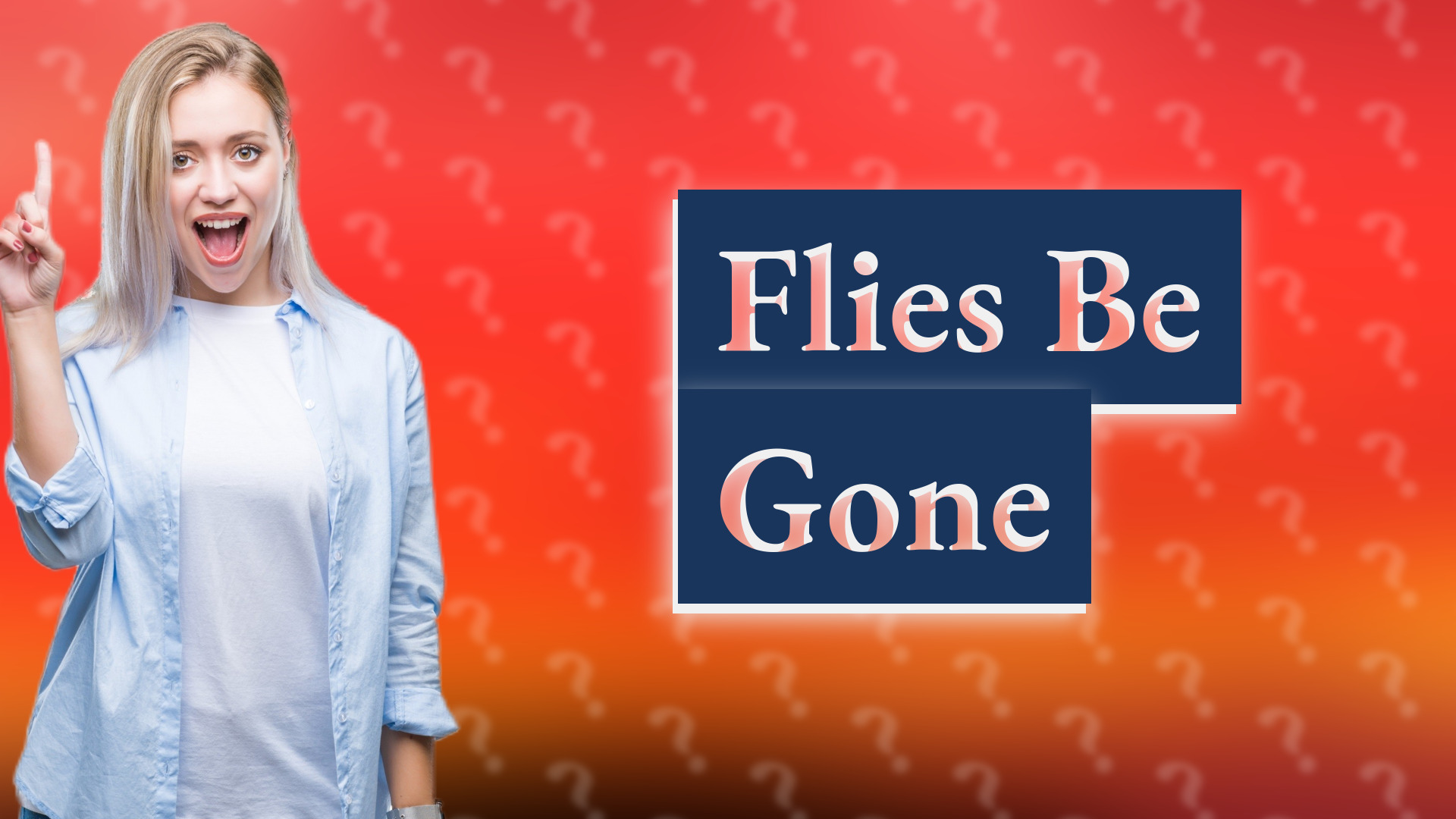 Flies Be Gone
