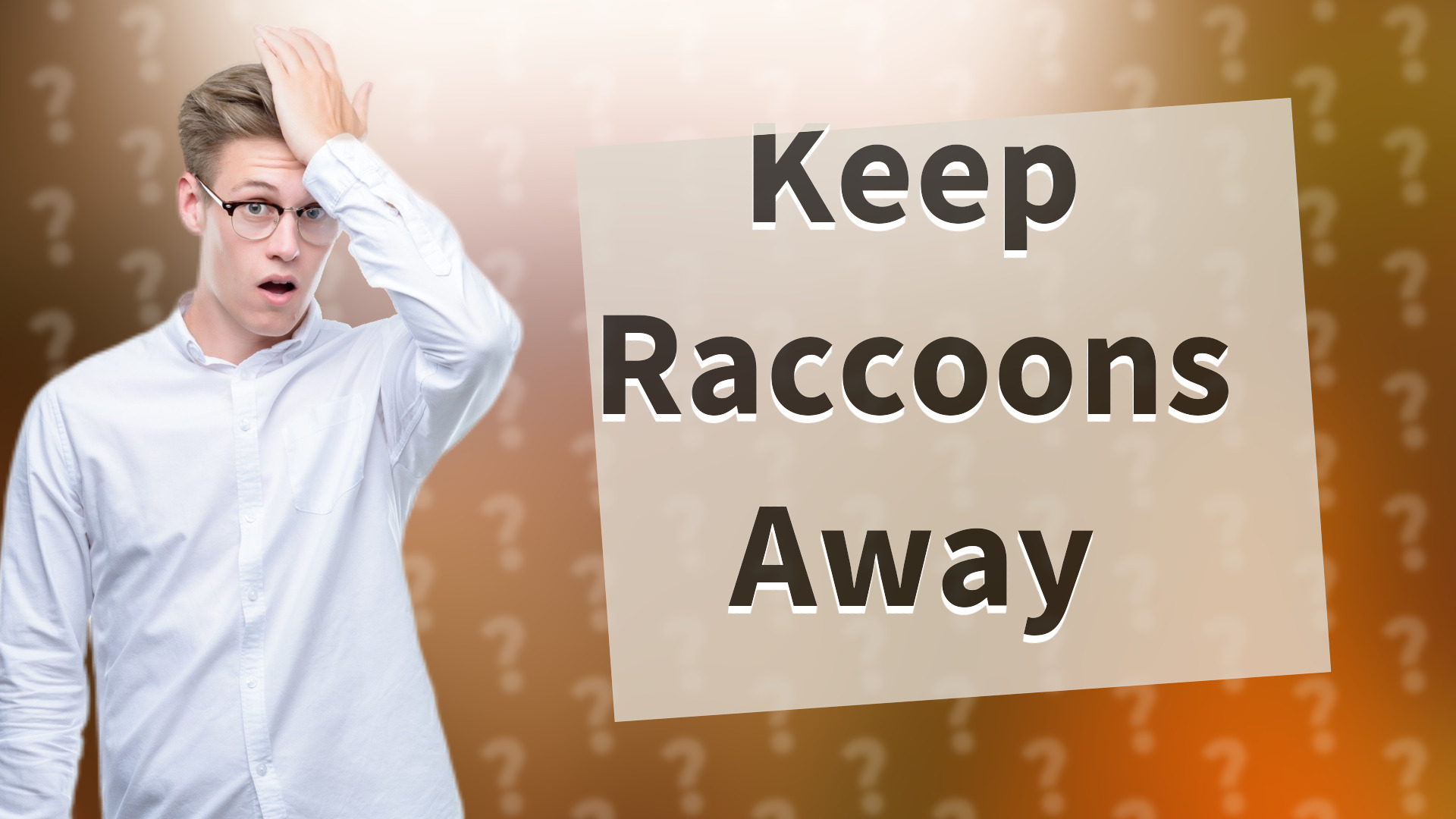 Keep Raccoons Away