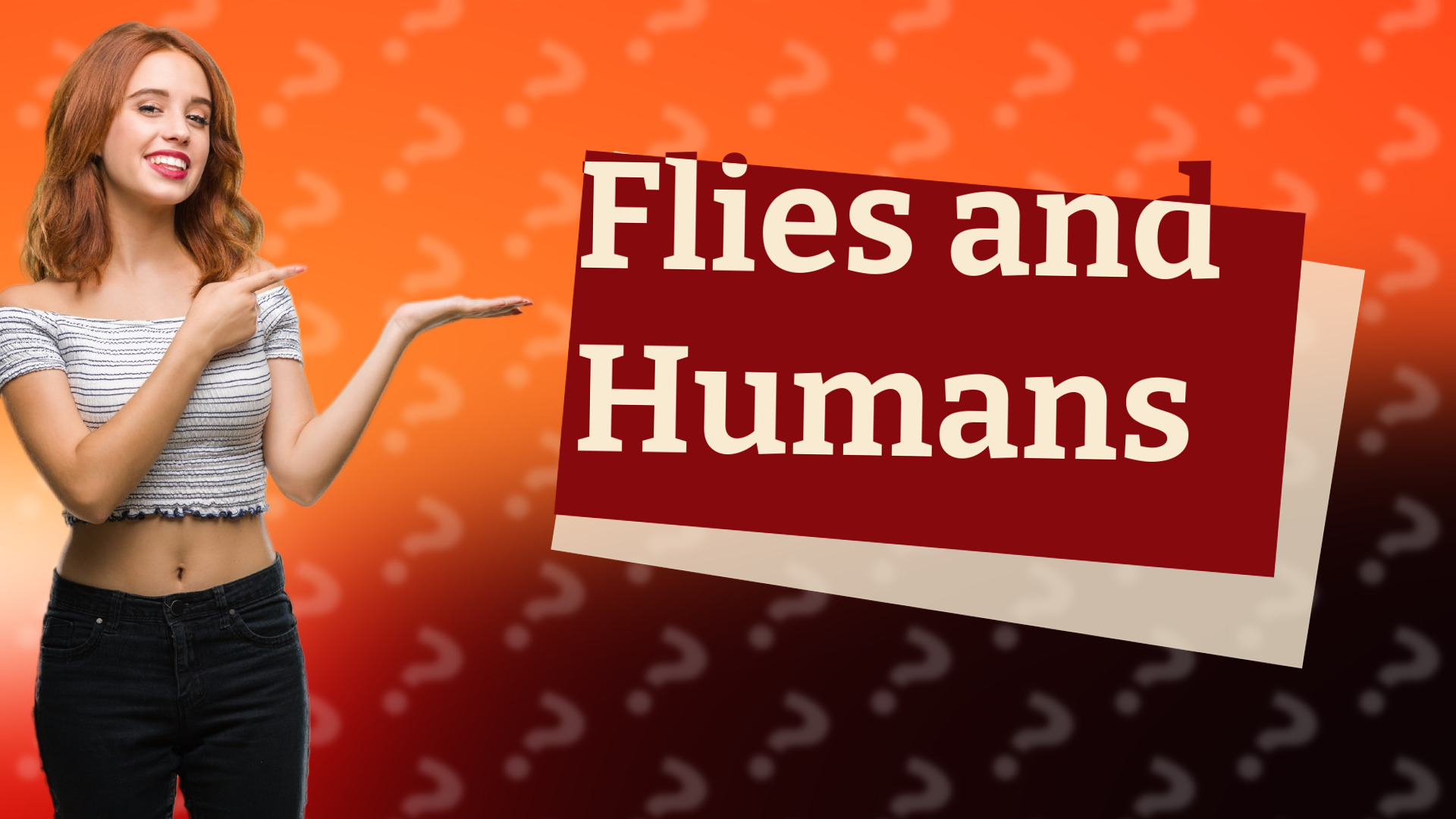 Flies and Humans