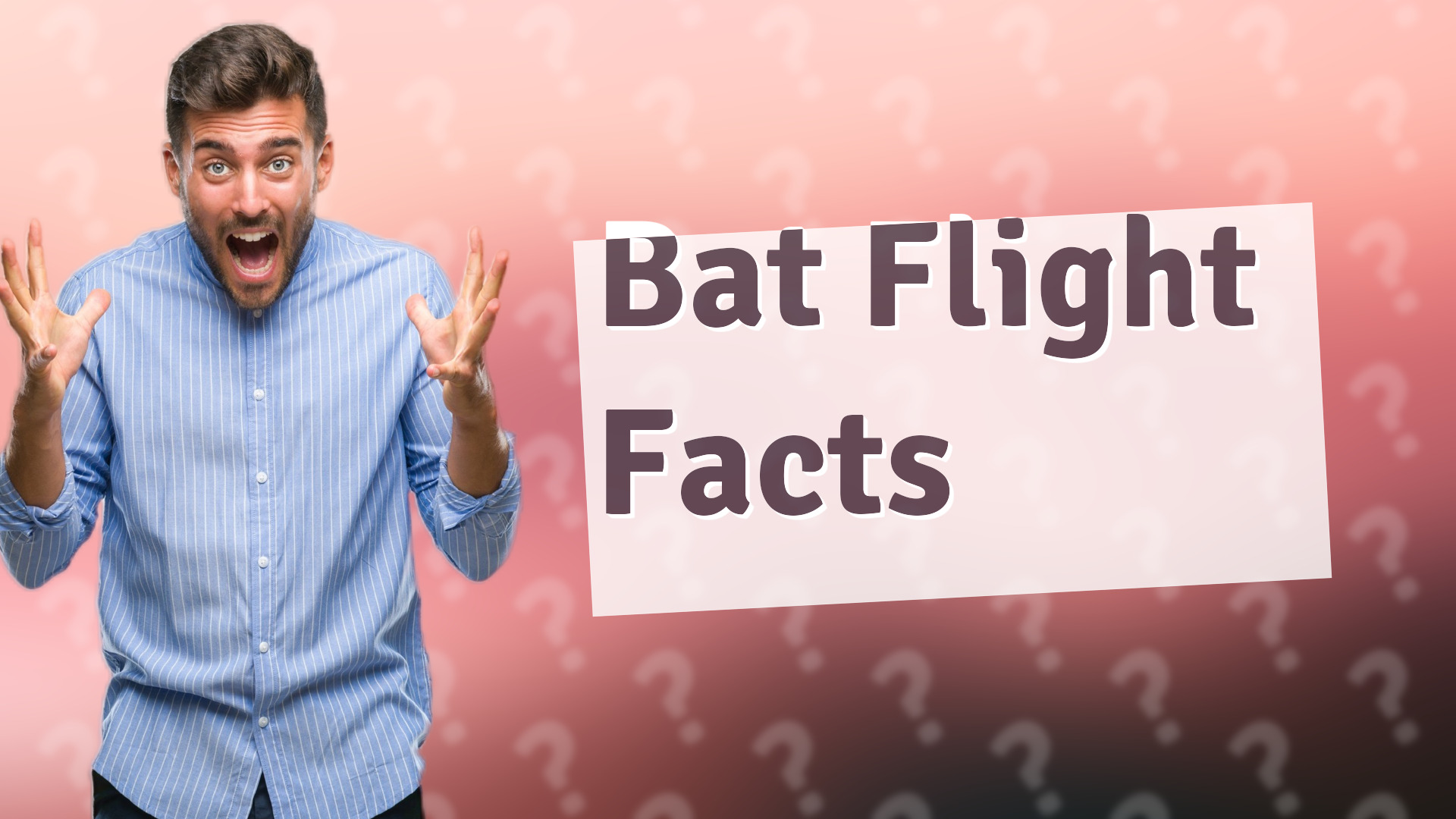 Bat Flight Facts