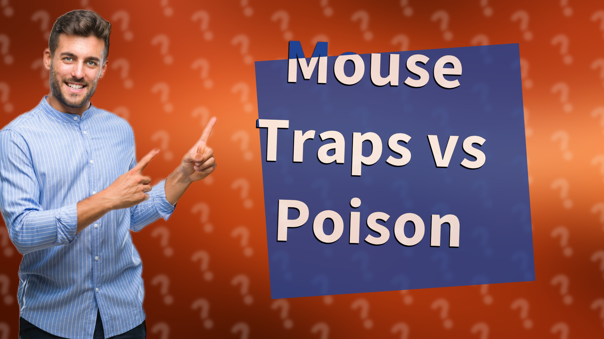 Mouse Traps vs Poison