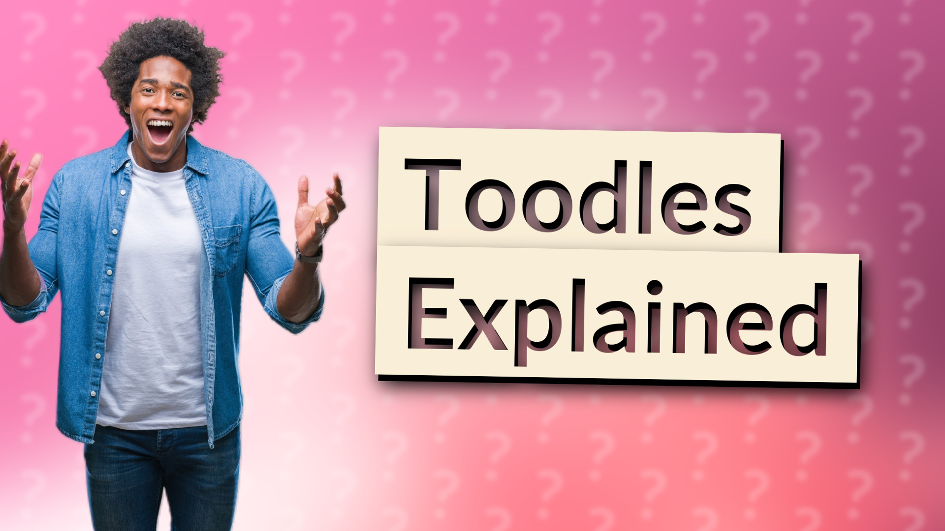Toodles Explained