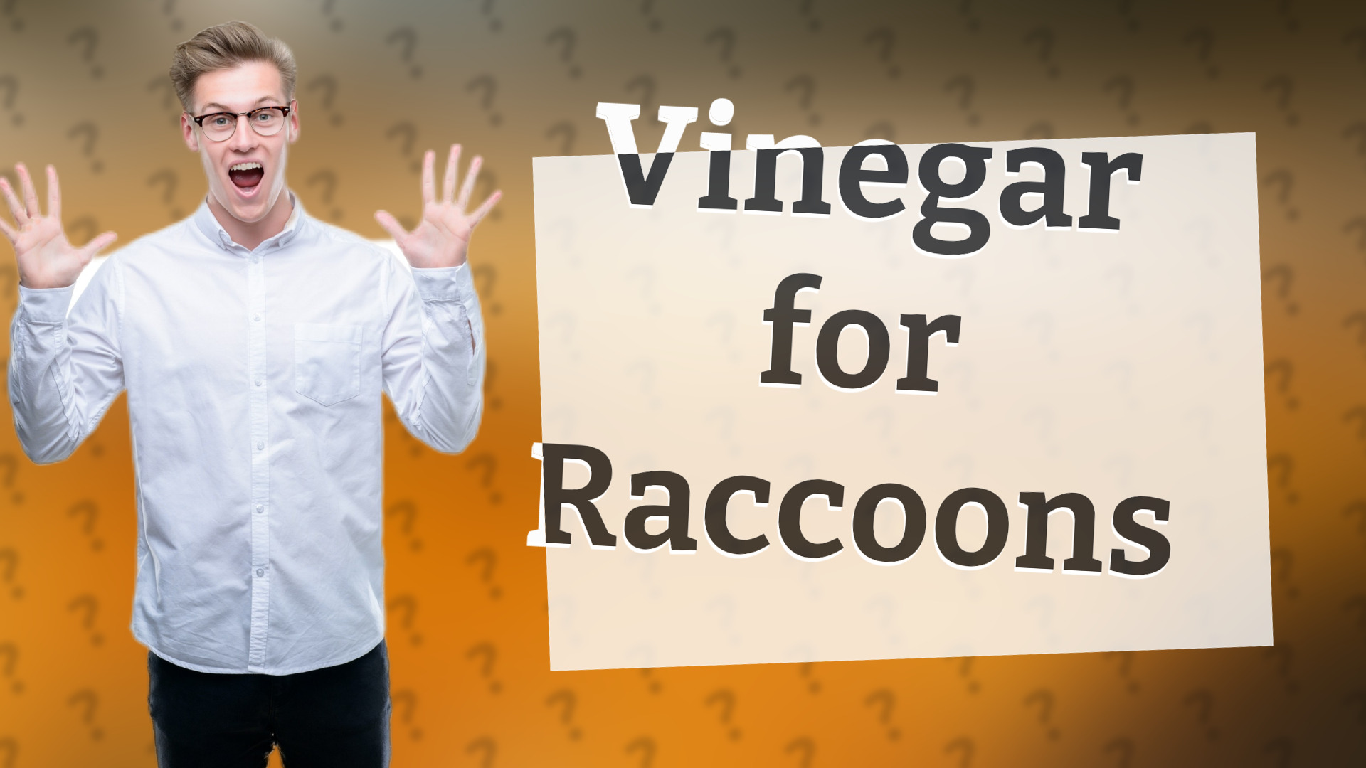 Vinegar for Raccoons