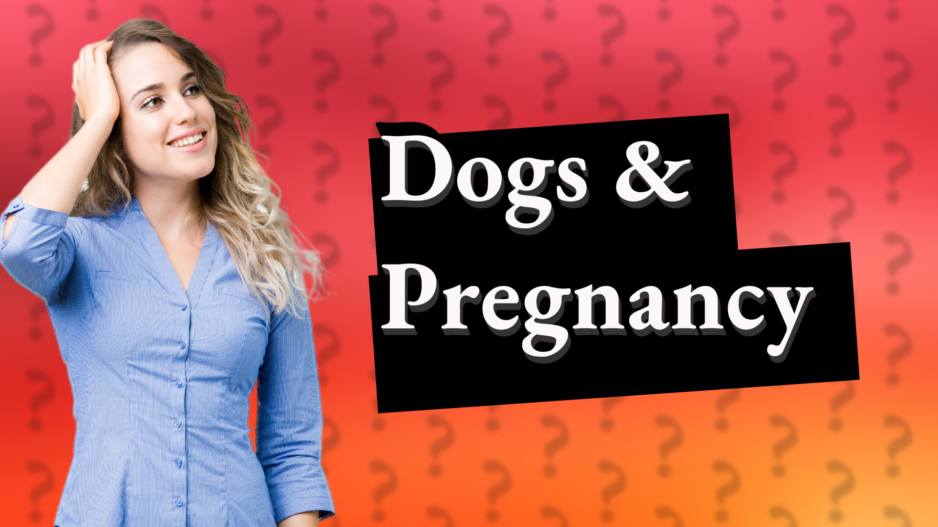 Dogs & Pregnancy