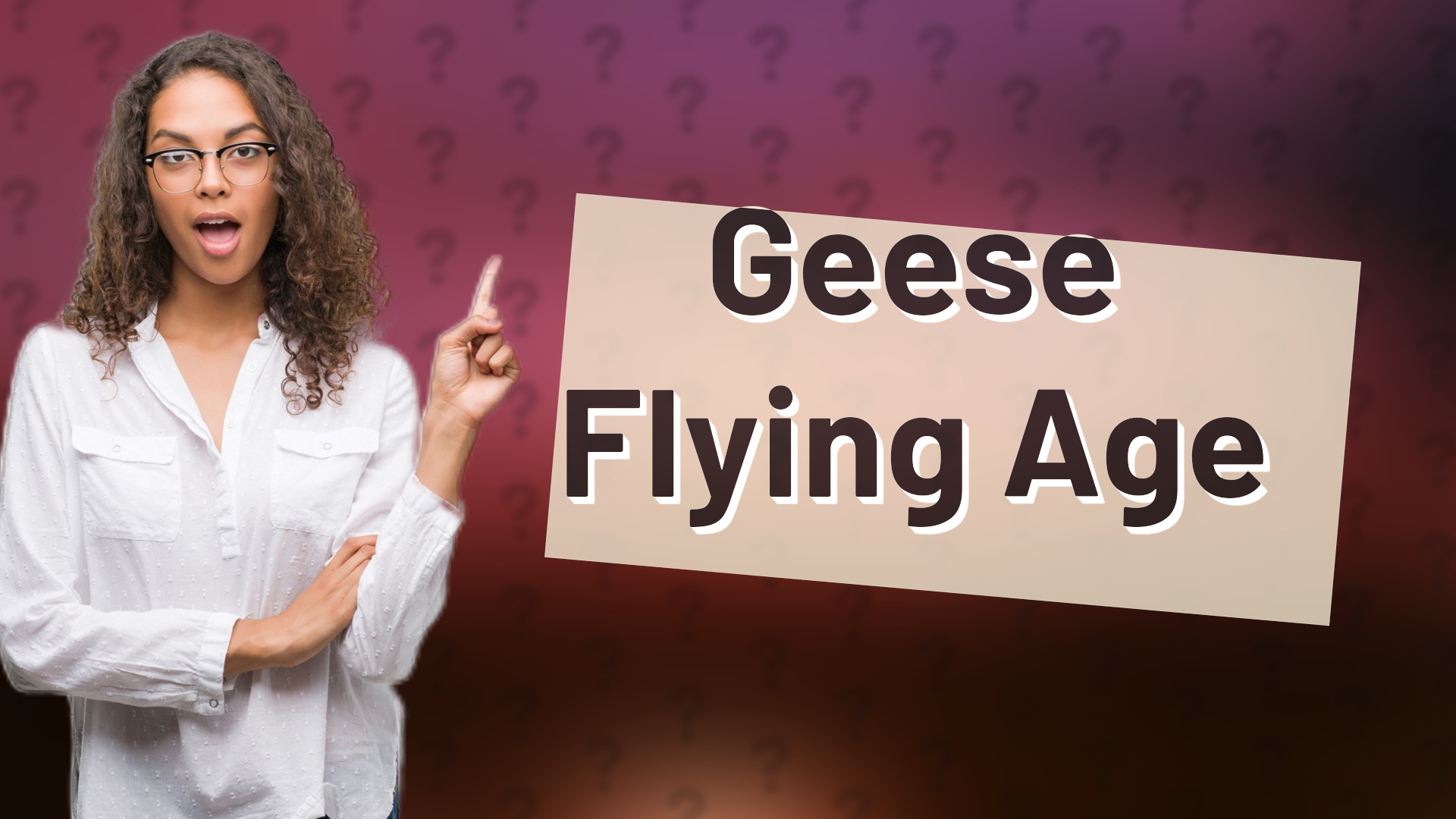 Geese Flying Age