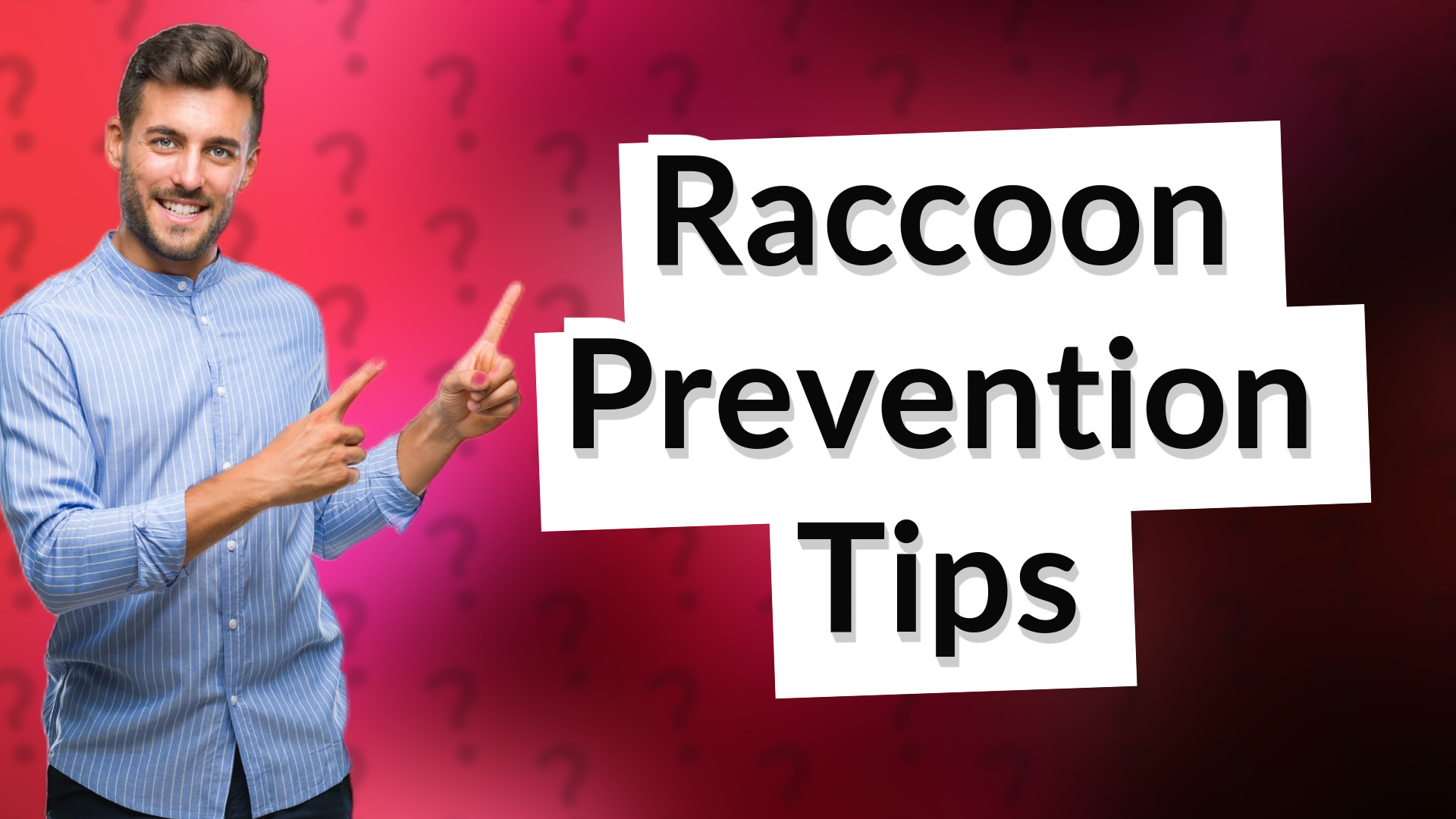 Raccoon Prevention Tips