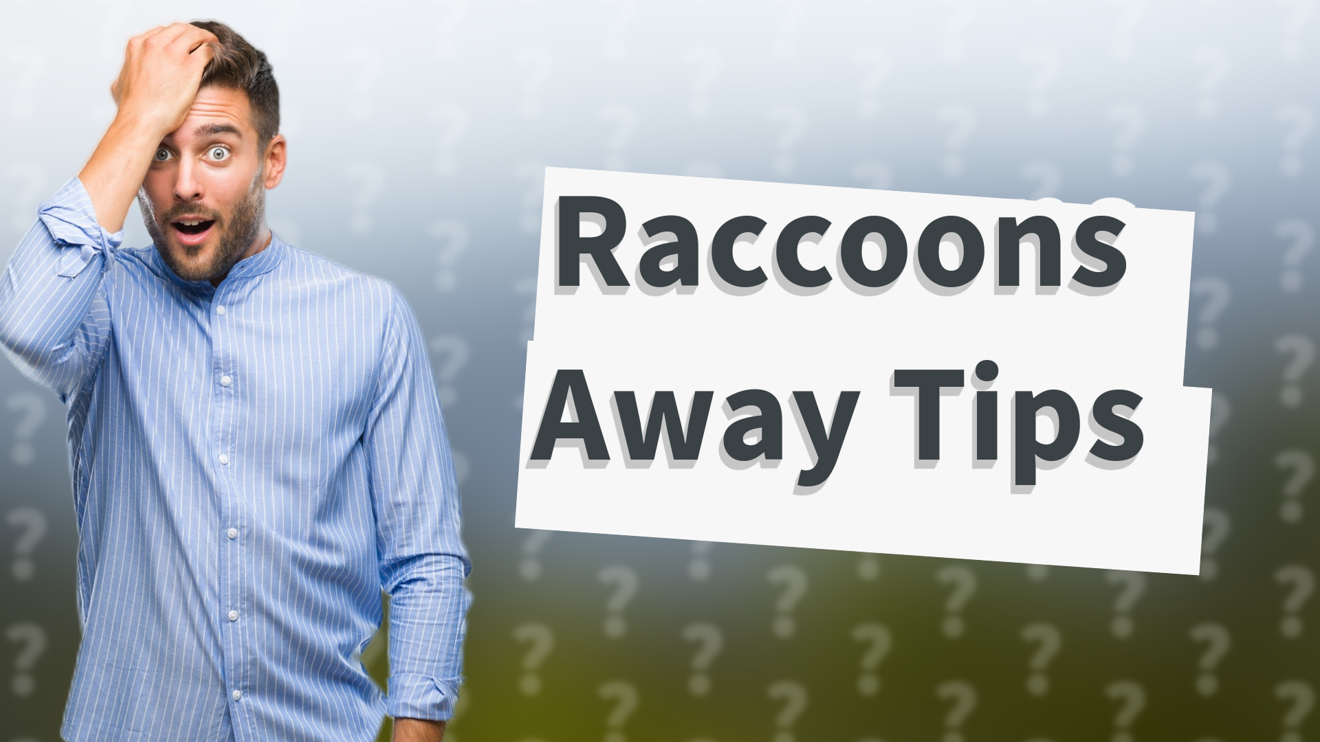 Raccoons Away Tips