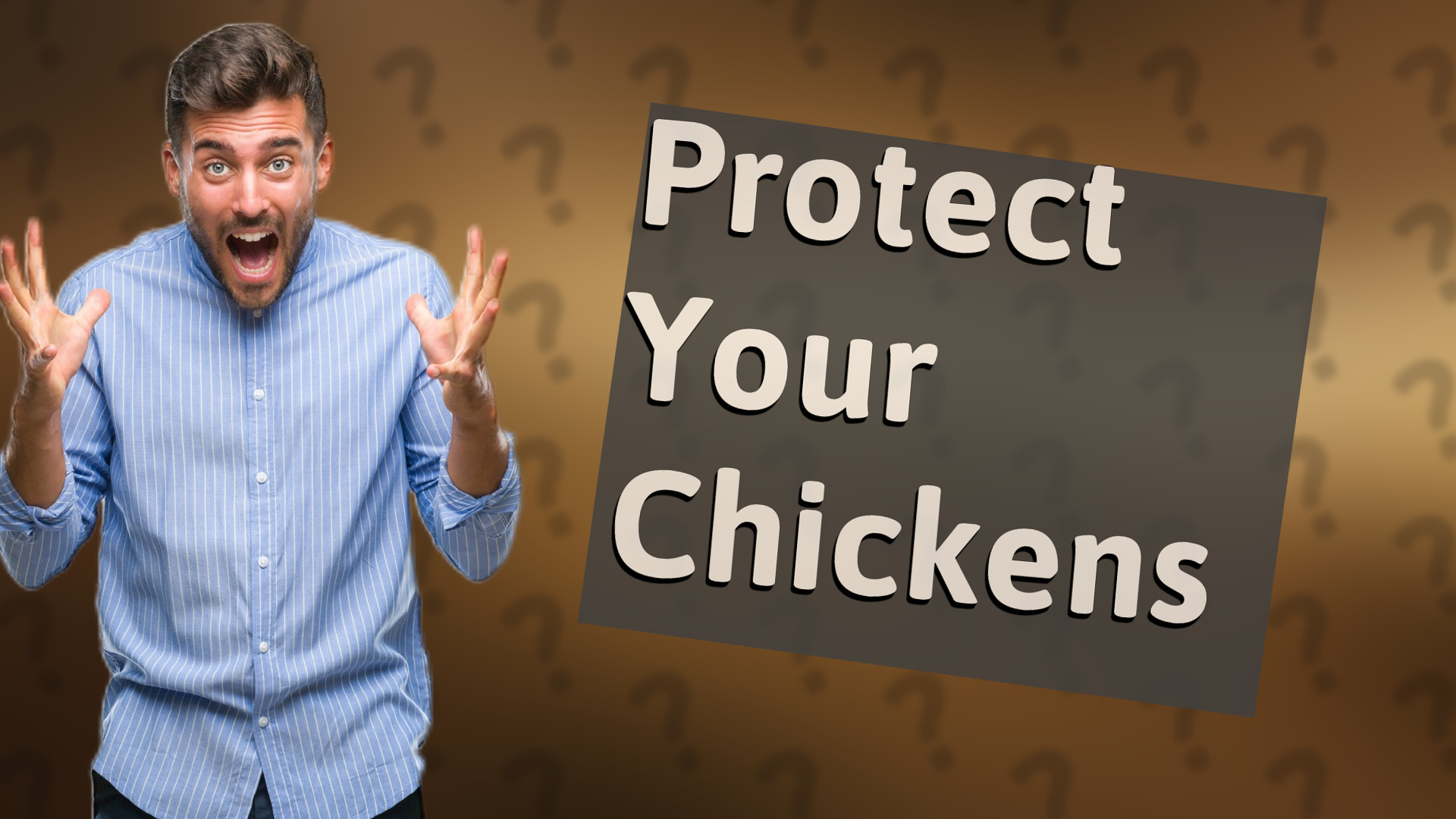 Protect Your Chickens