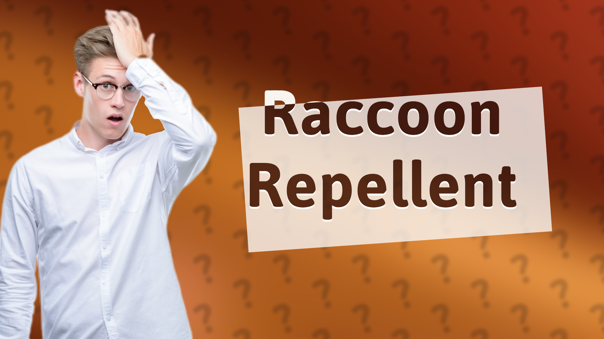 Raccoon Repellent