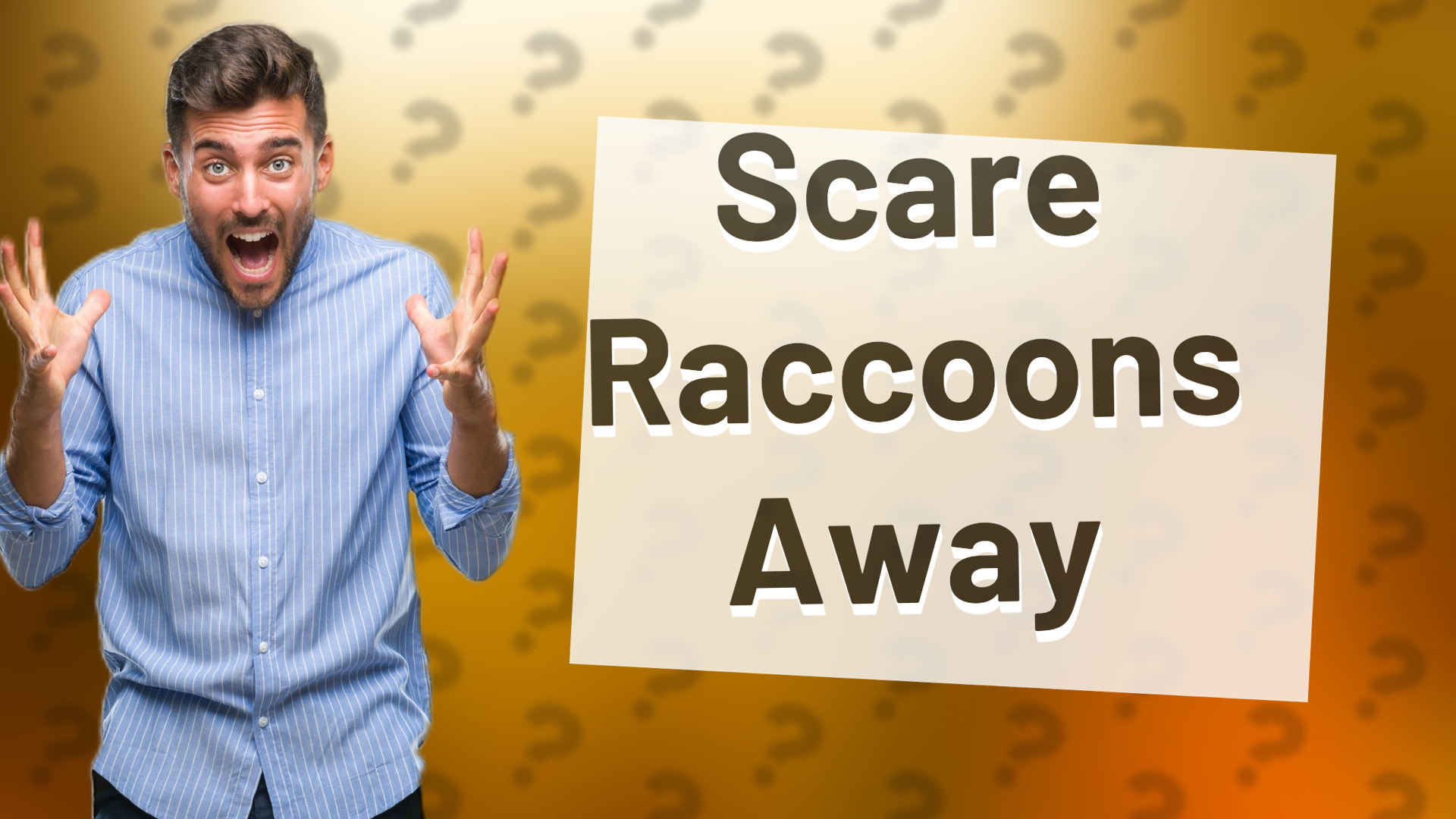 Scare Raccoons Away