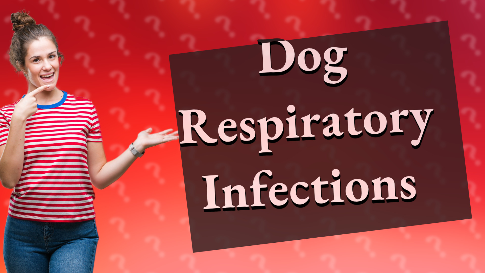 Dog Respiratory Infections