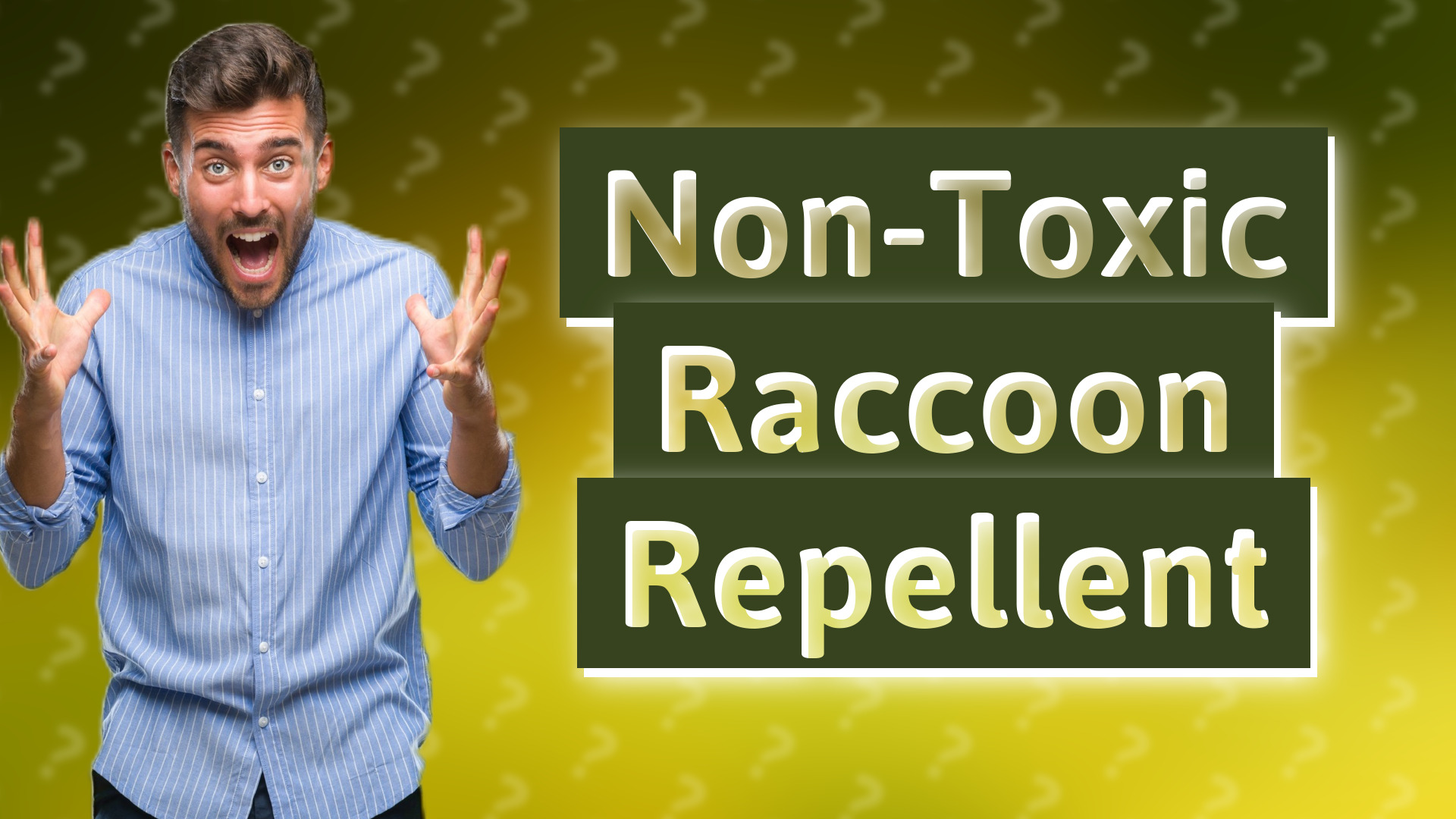 Non-Toxic Raccoon Repellent