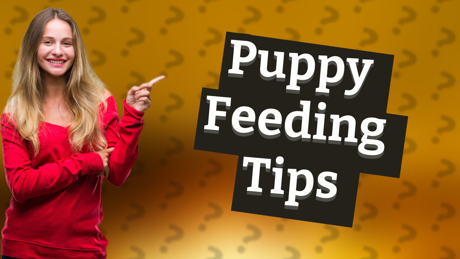 Puppy Feeding Tips