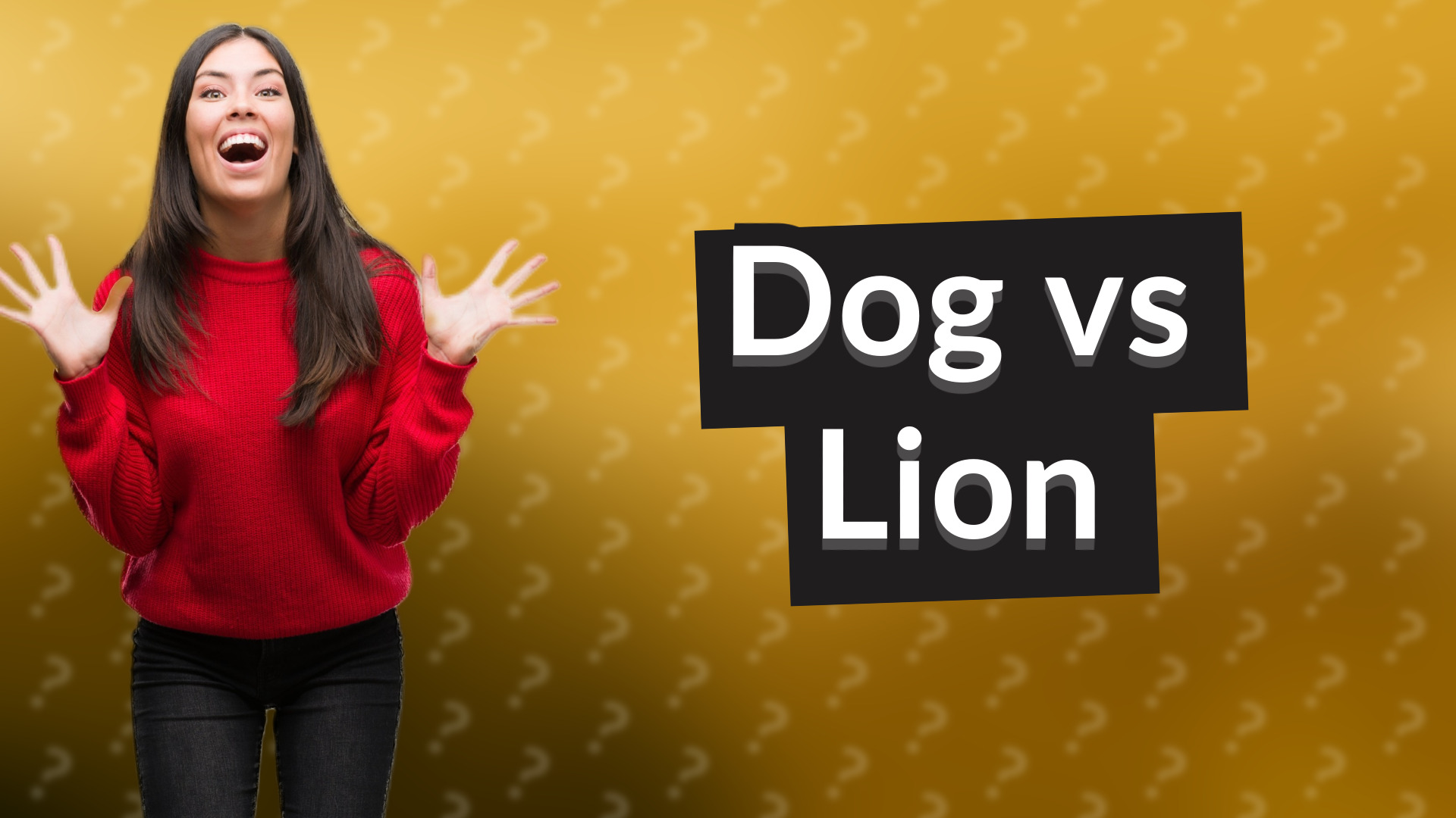 Dog vs Lion